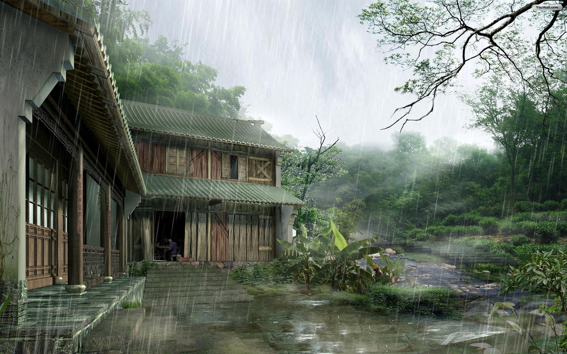 Casa in legno, Pioggia, Foresta, Nebbia, 16:10 Full HD, wallpaper widescreen