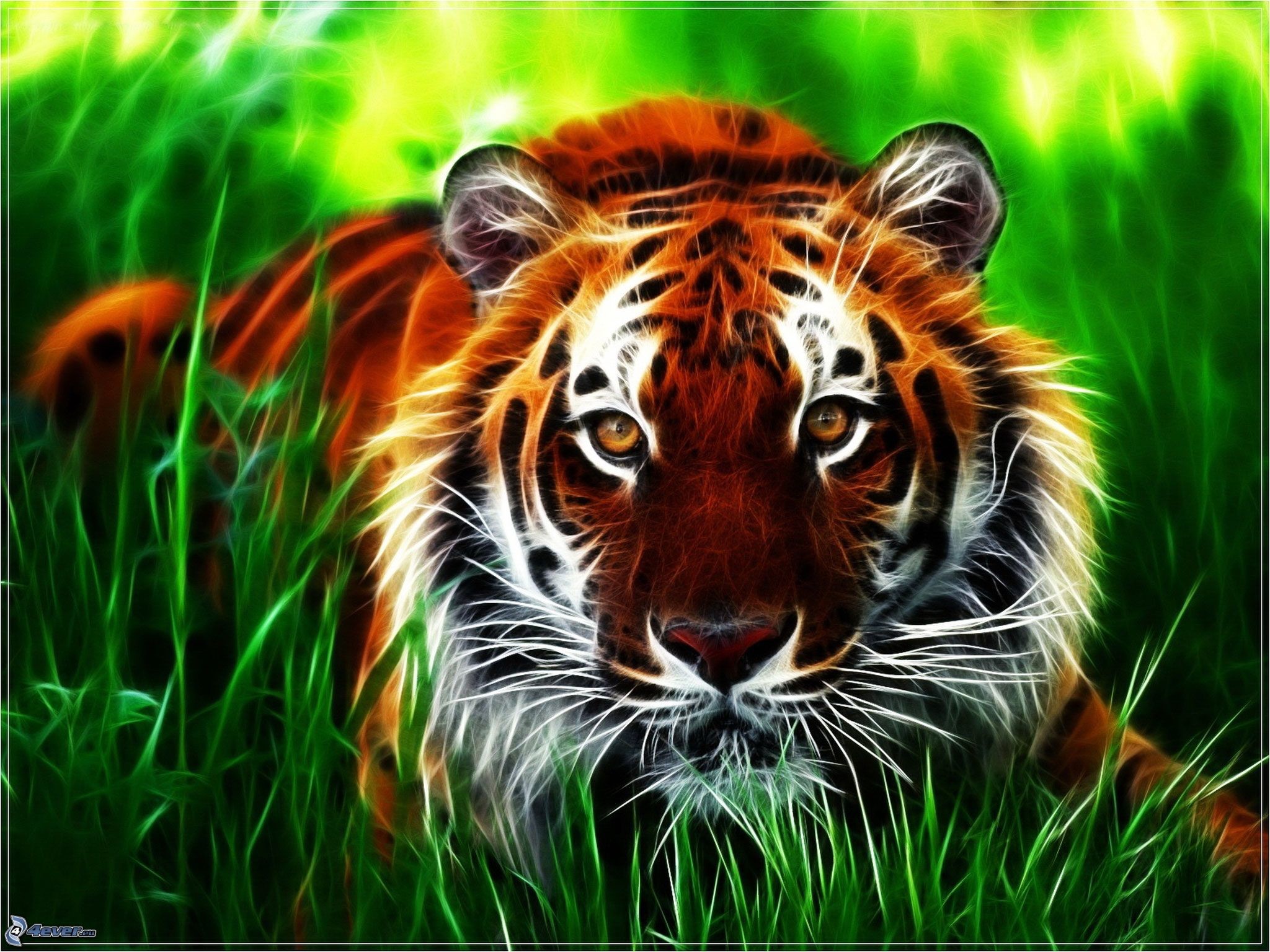 Tigre, Effetto frattale, Erba, Arte digitale, sfondo per iPad e tablet