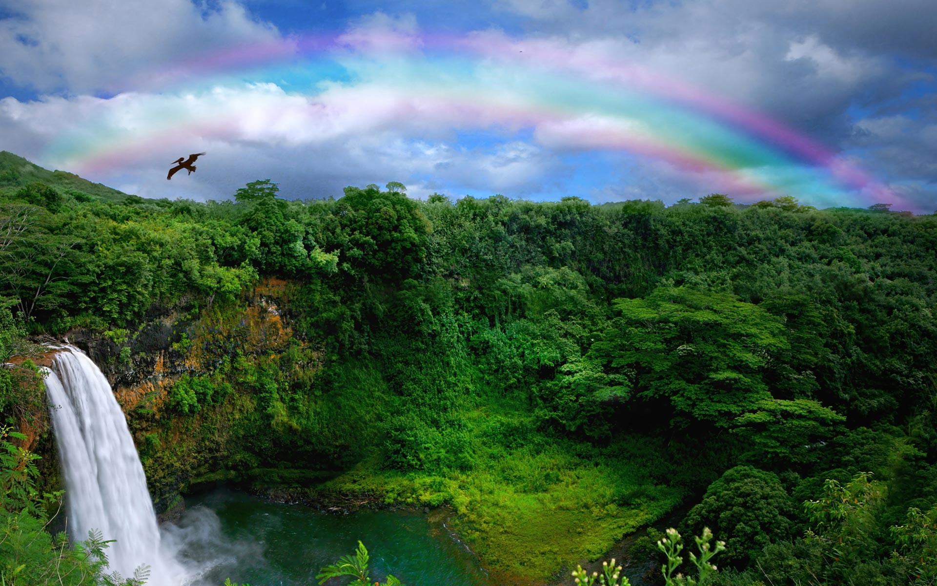 Arcobaleno, Cascata, Foresta pluviale, Uccello, 1920x1200, sfondo MacBook Pro