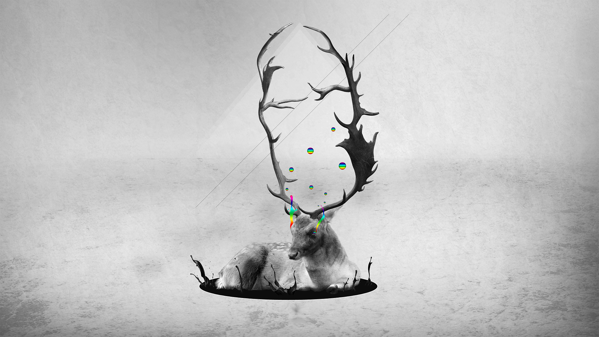 Cervo, Arte surreale, Bianco e nero, Palchi, Full HD, sfondo desktop