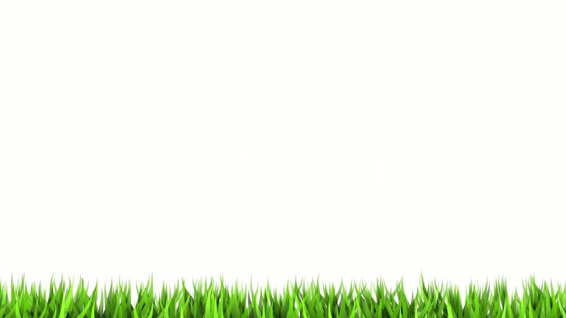Erba verde, Sfondo bianco, Minimalista, Full HD, wallpaper desktop