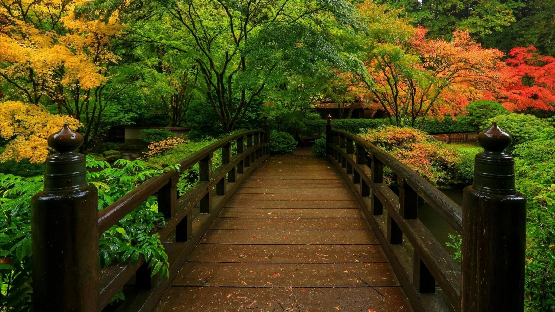 Giardino giapponese, Ponte di legno, Aceri, Autunno, Full HD, sfondo desktop