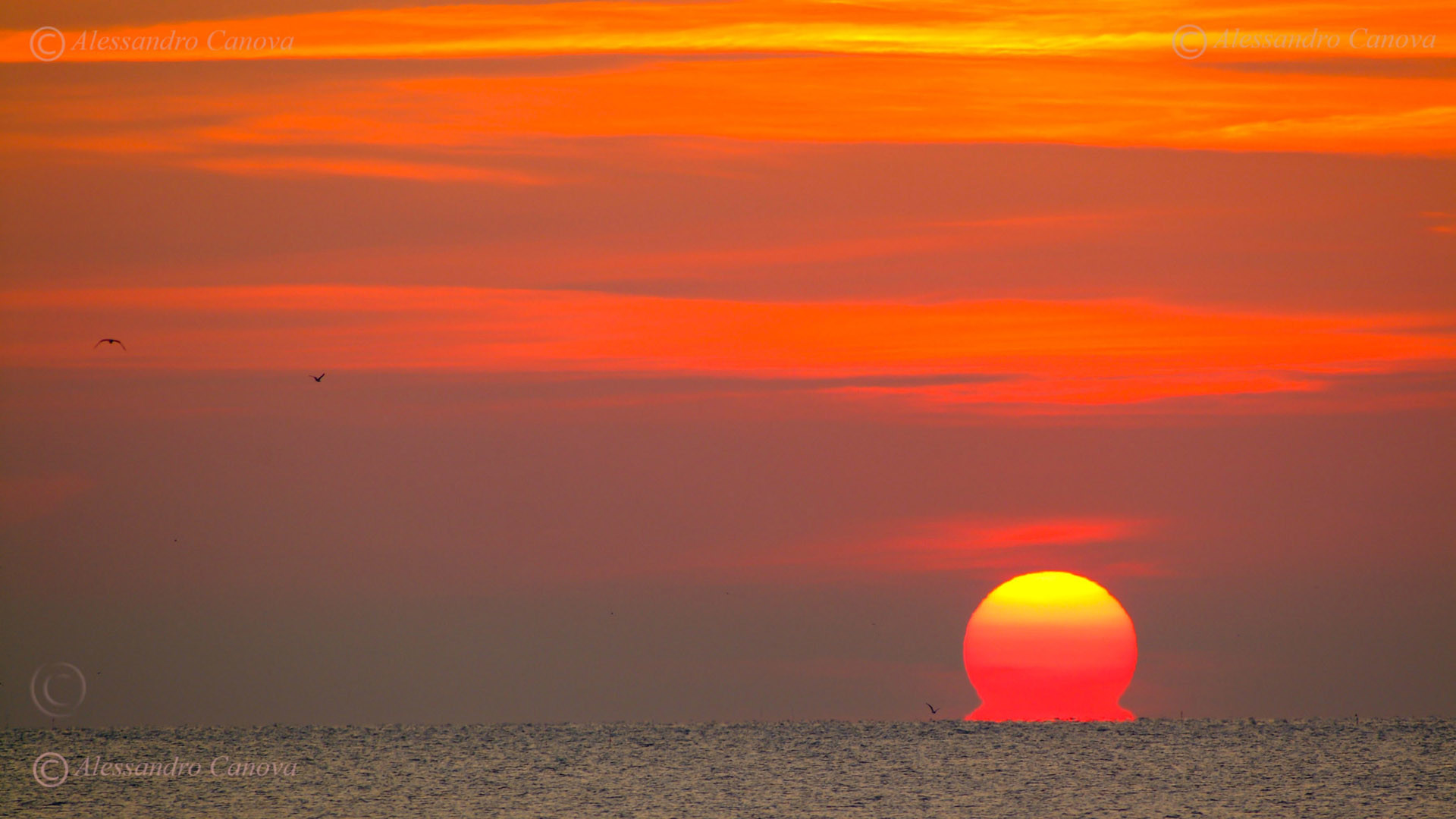 Tramonto, Sole, Mare, Cielo arancione, sfondo desktop PC
