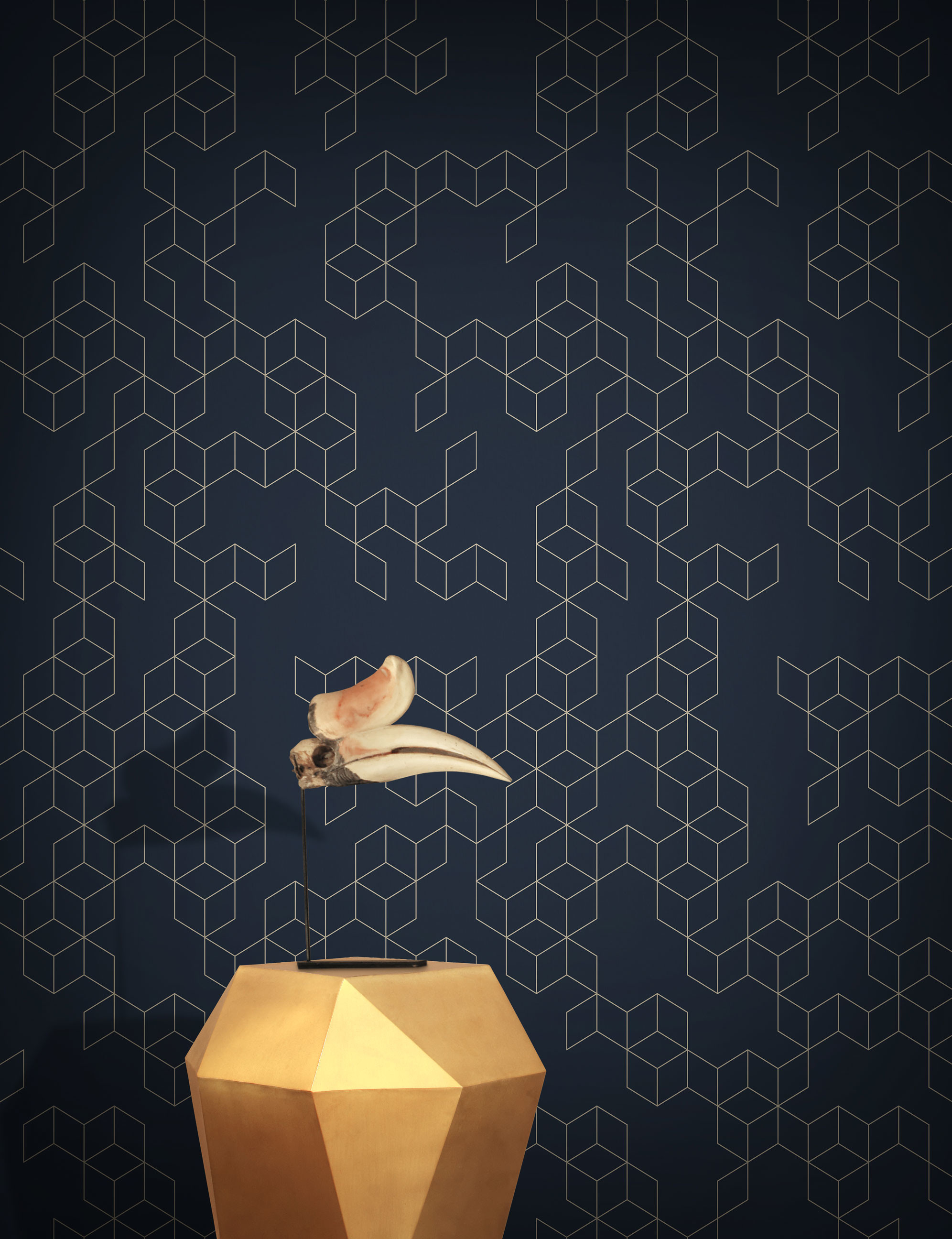 Colibrì, Vaso dorato, Esagoni, Sfondo scuro, QHD+, schermata di blocco iPad