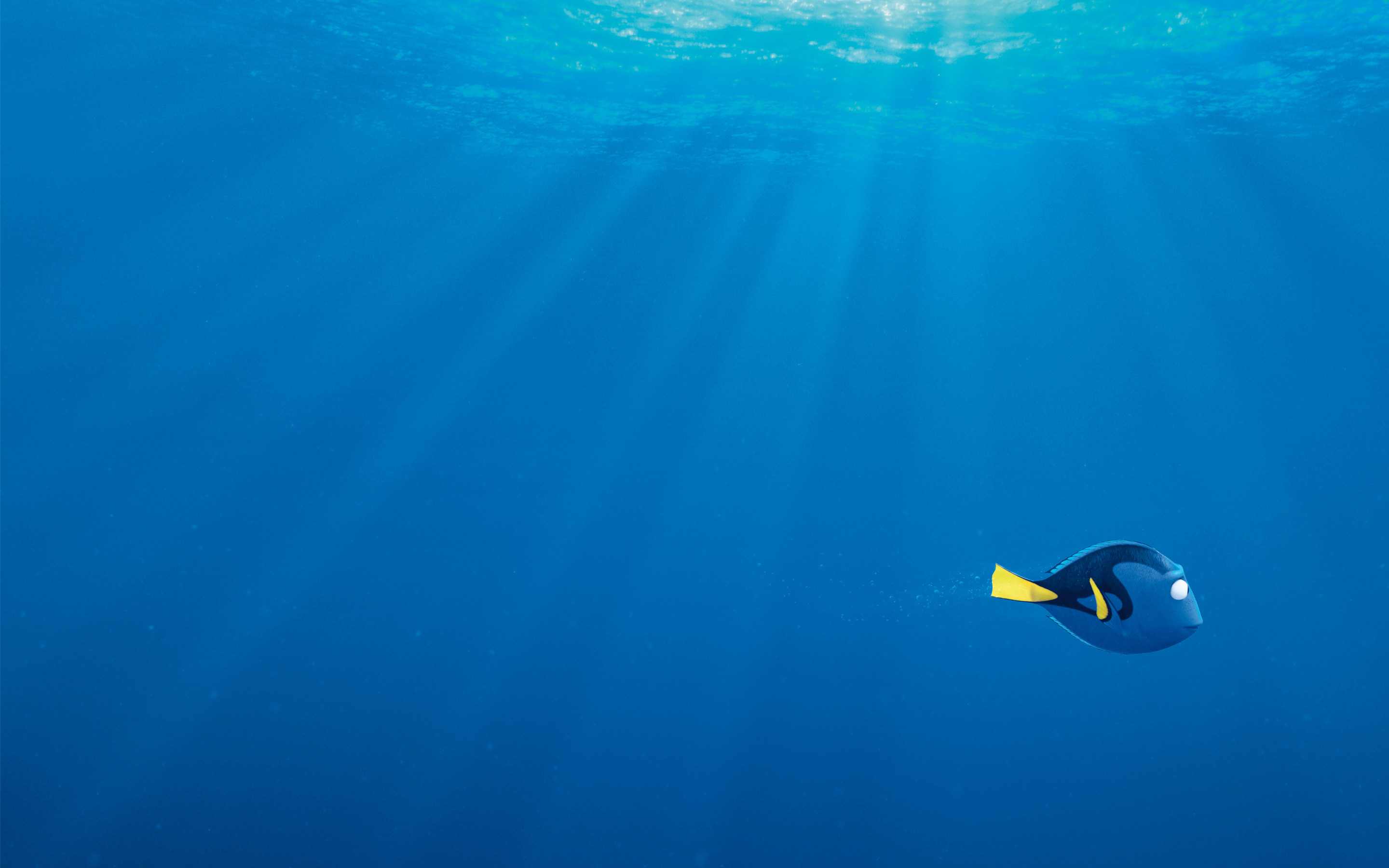 Dory, Alla ricerca di Dory, Pixar, Oceano, Raggi di luce, 2K, wallpaper desktop