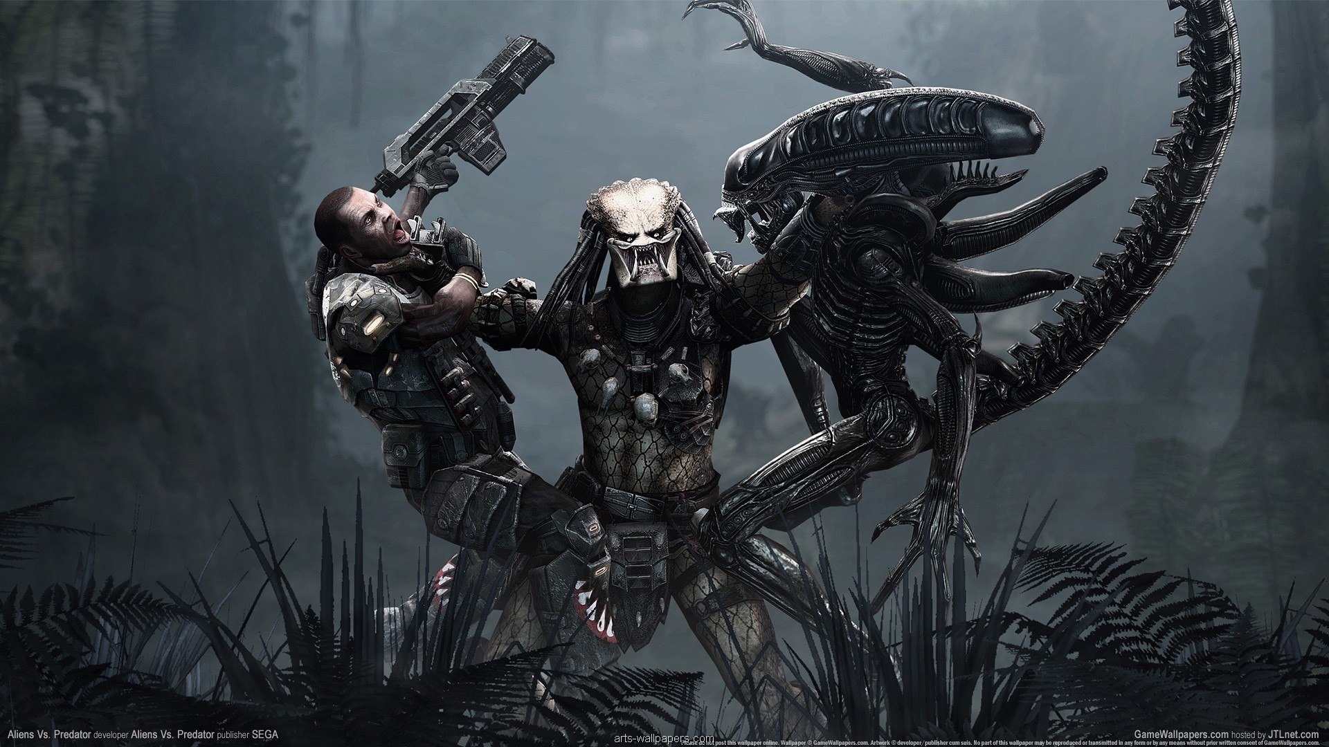Aliens vs. Predator, Predator, Xenomorfo, Marine, Full HD, wallpaper per PC