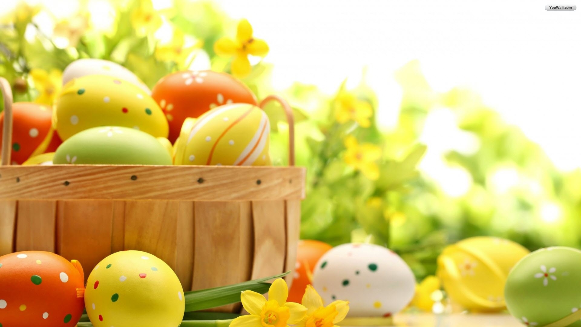 Cestino pasquale, Uova di Pasqua, Fiori gialli, Primavera, Full HD 1080p, sfondo desktop