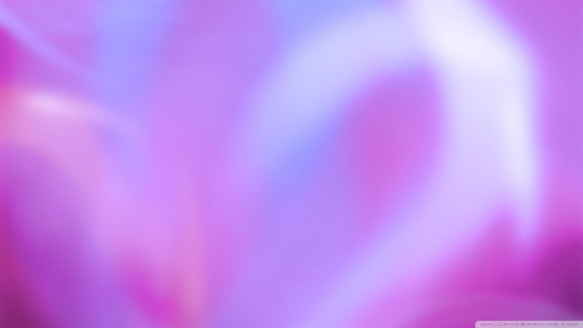 Fucsia, Sfocato, Arte astratta, Full HD, sfondo desktop