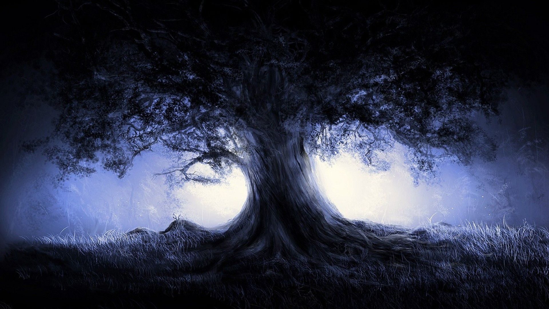 Albero secolare, Luce misteriosa, Fantasy, Notte blu, 1920x1080, wallpaper desktop