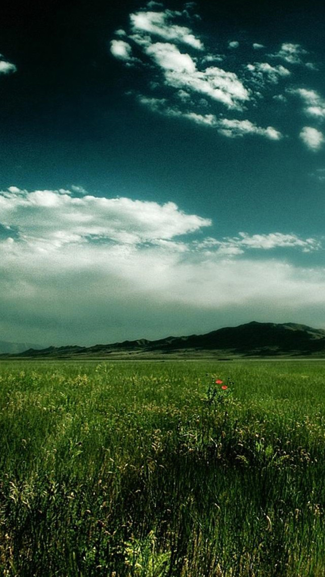Prato, Colline, Cielo nuvoloso, Full HD, sfondo per smartphone