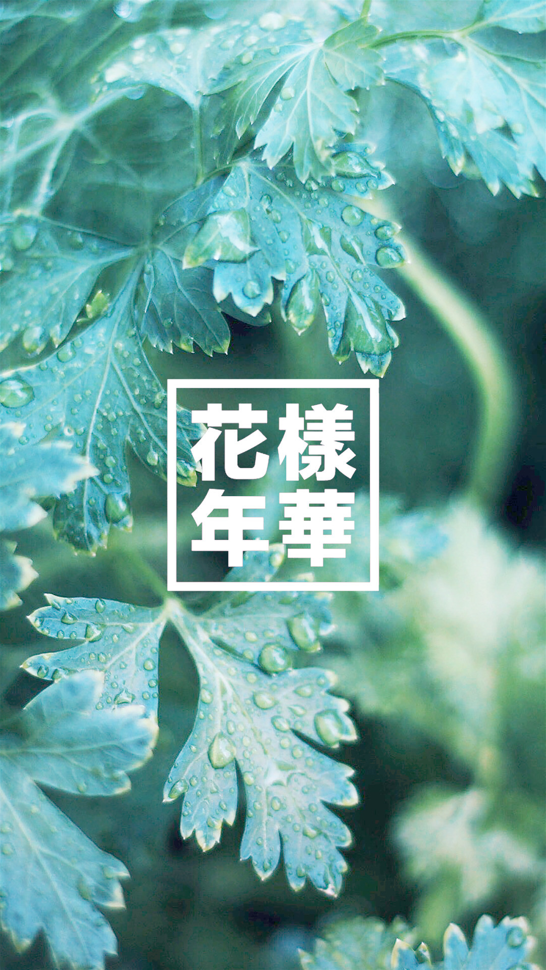 BTS, The Most Beautiful Moment in Life, Foglie, Verde, Full HD, sfondo per iPhone e Android