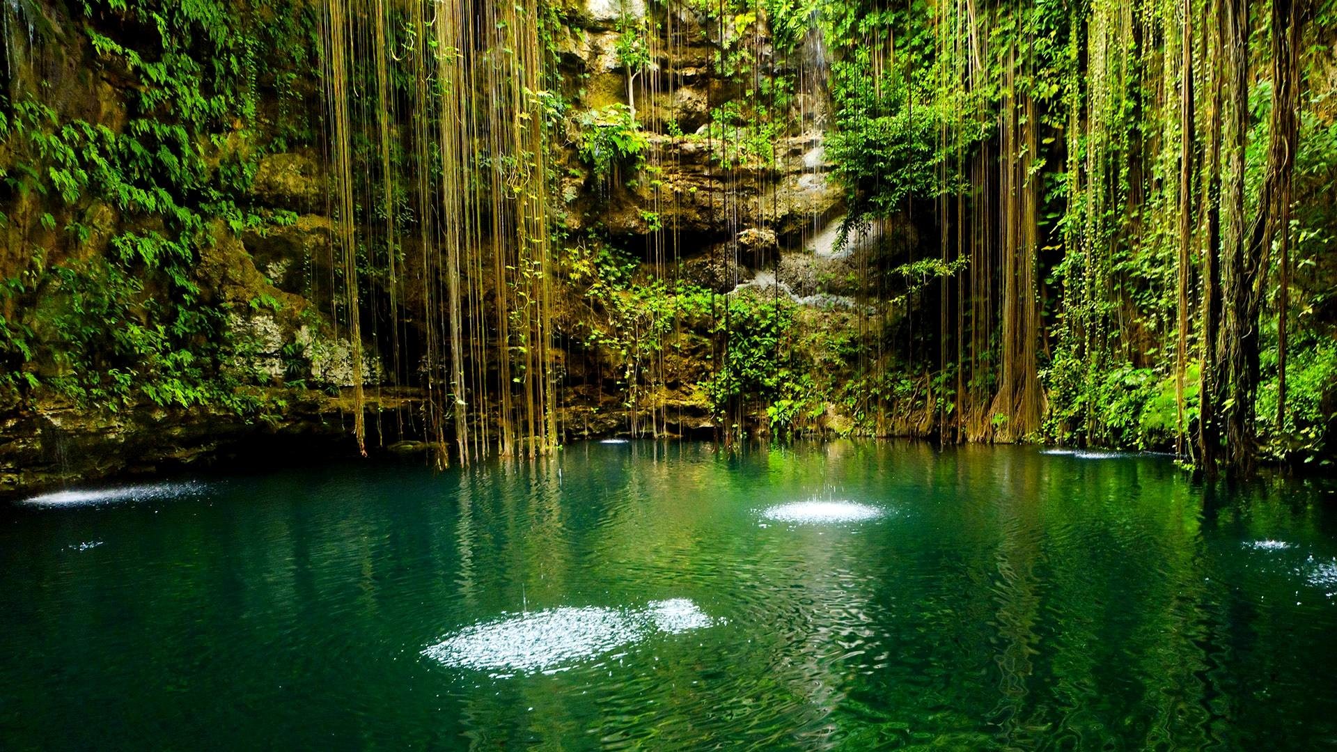 Cenote Ik Kil, Messico, Liane, Acqua verde, 16:9 Full HD, wallpaper widescreen