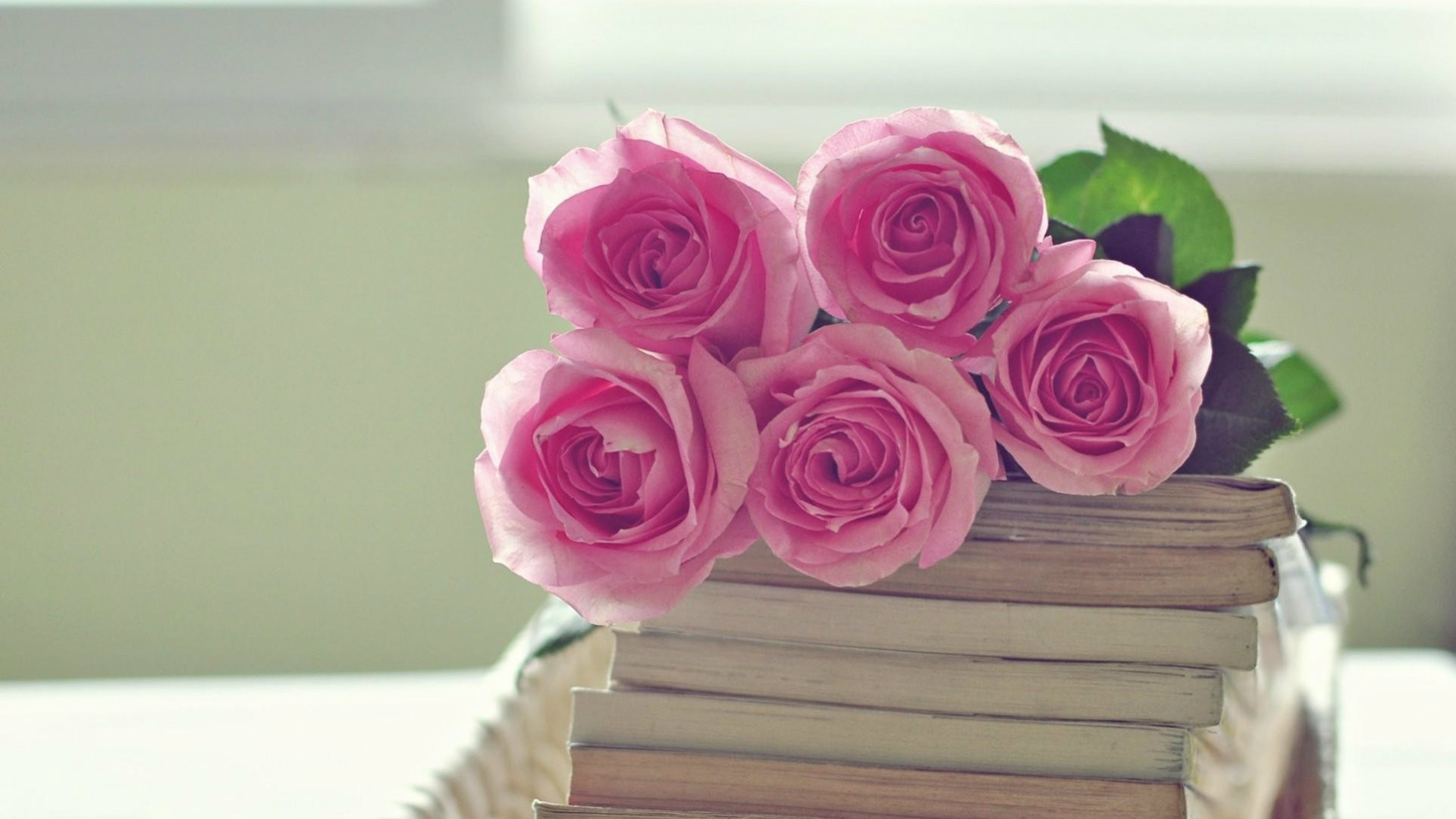 Rose rosa, Libri, Natura morta, Full HD, sfondo Windows 11