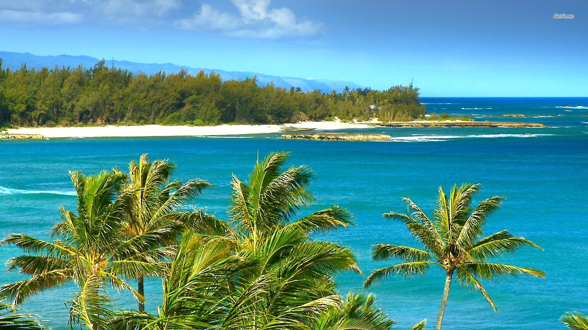 Oahu, Hawaii, North Shore, Palme, Oceano, Full HD, sfondo per PC