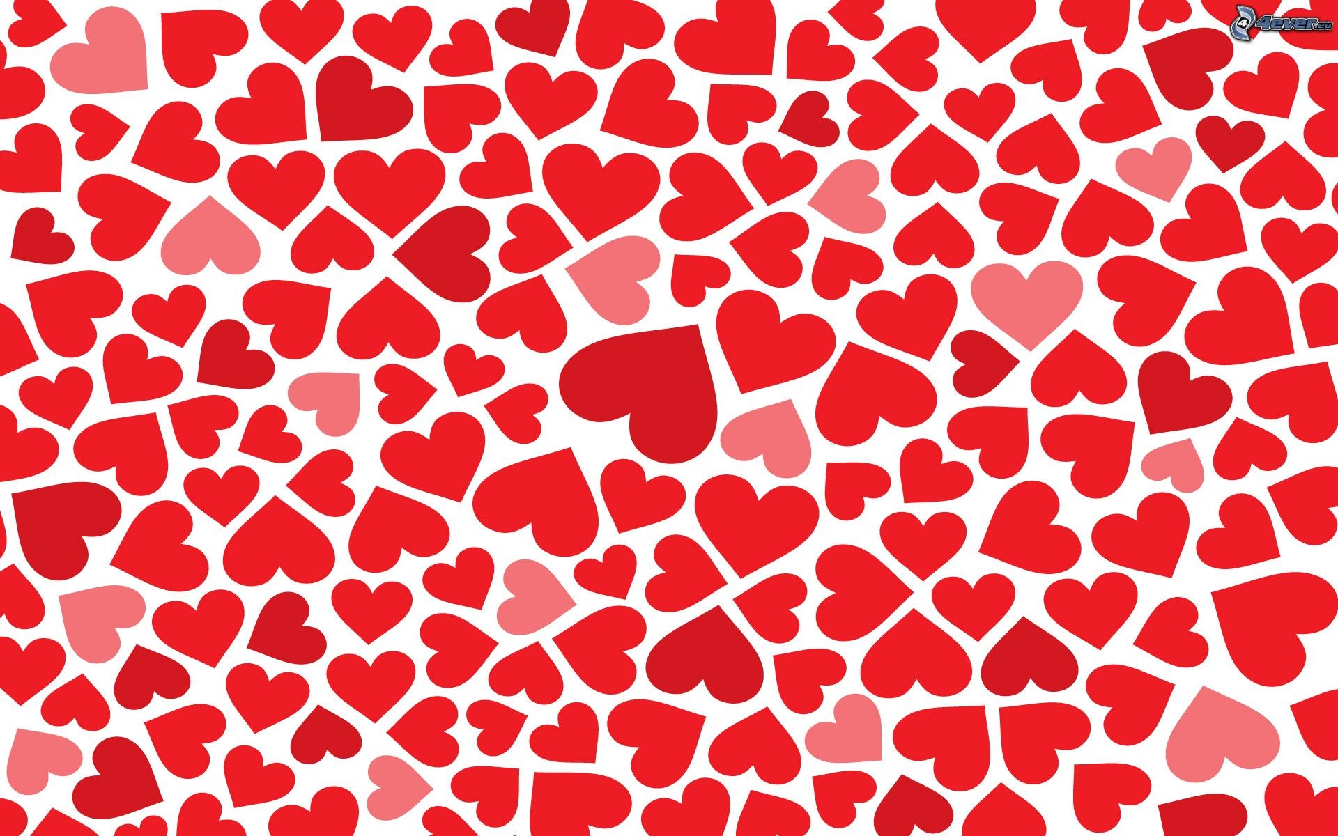 Cuori rossi, Motivo, Sfondo bianco, 16:10 Full HD, wallpaper widescreen