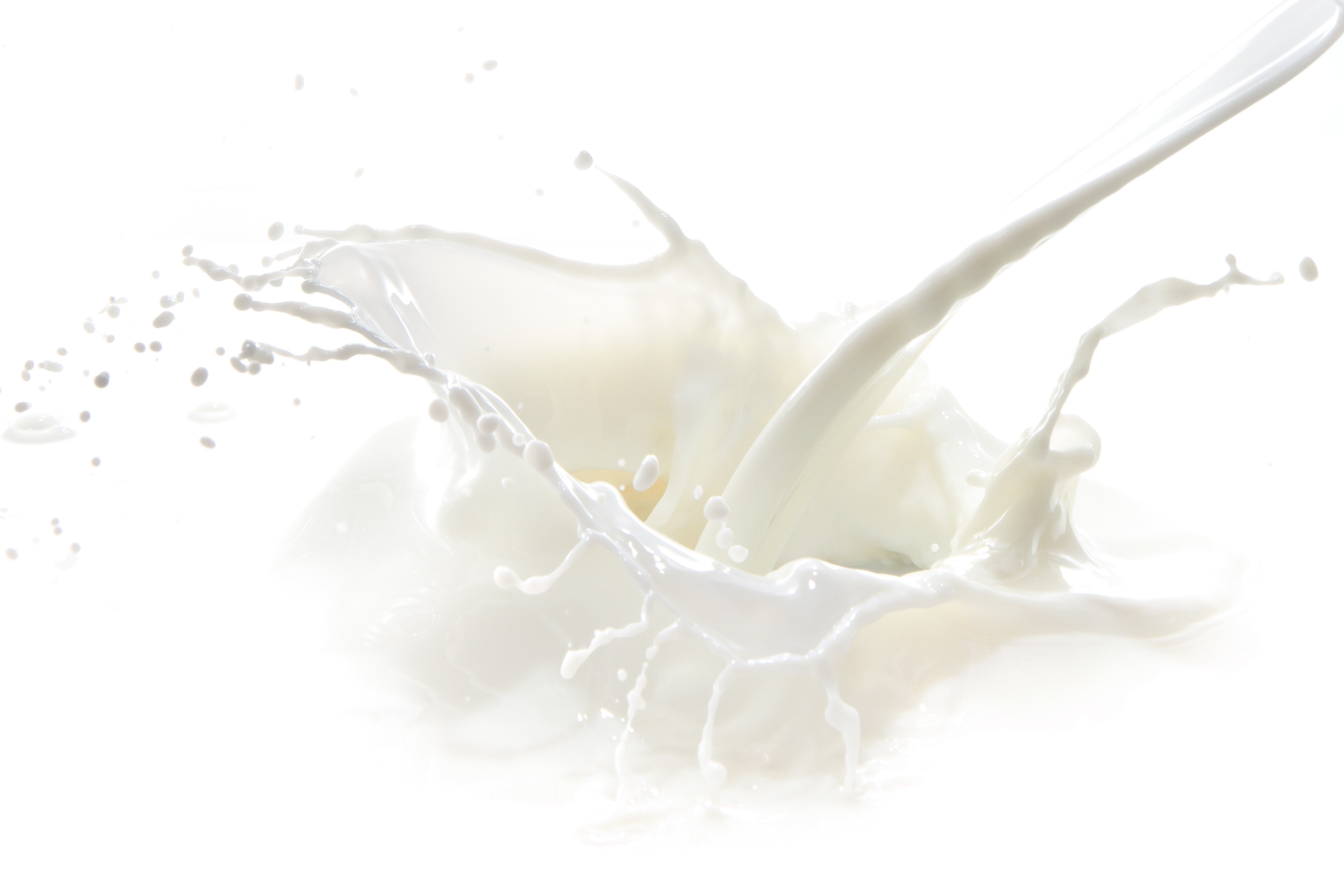Schizzo di latte, Bianco, Minimalismo, 2K, wallpaper per portatile