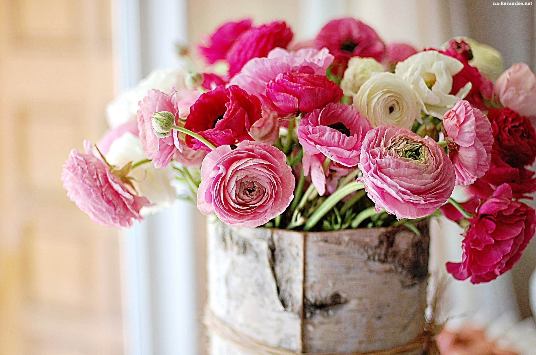 Ranuncoli, Fiori rosa, Vaso di betulla, Composizione floreale, Full HD, sfondo per PC