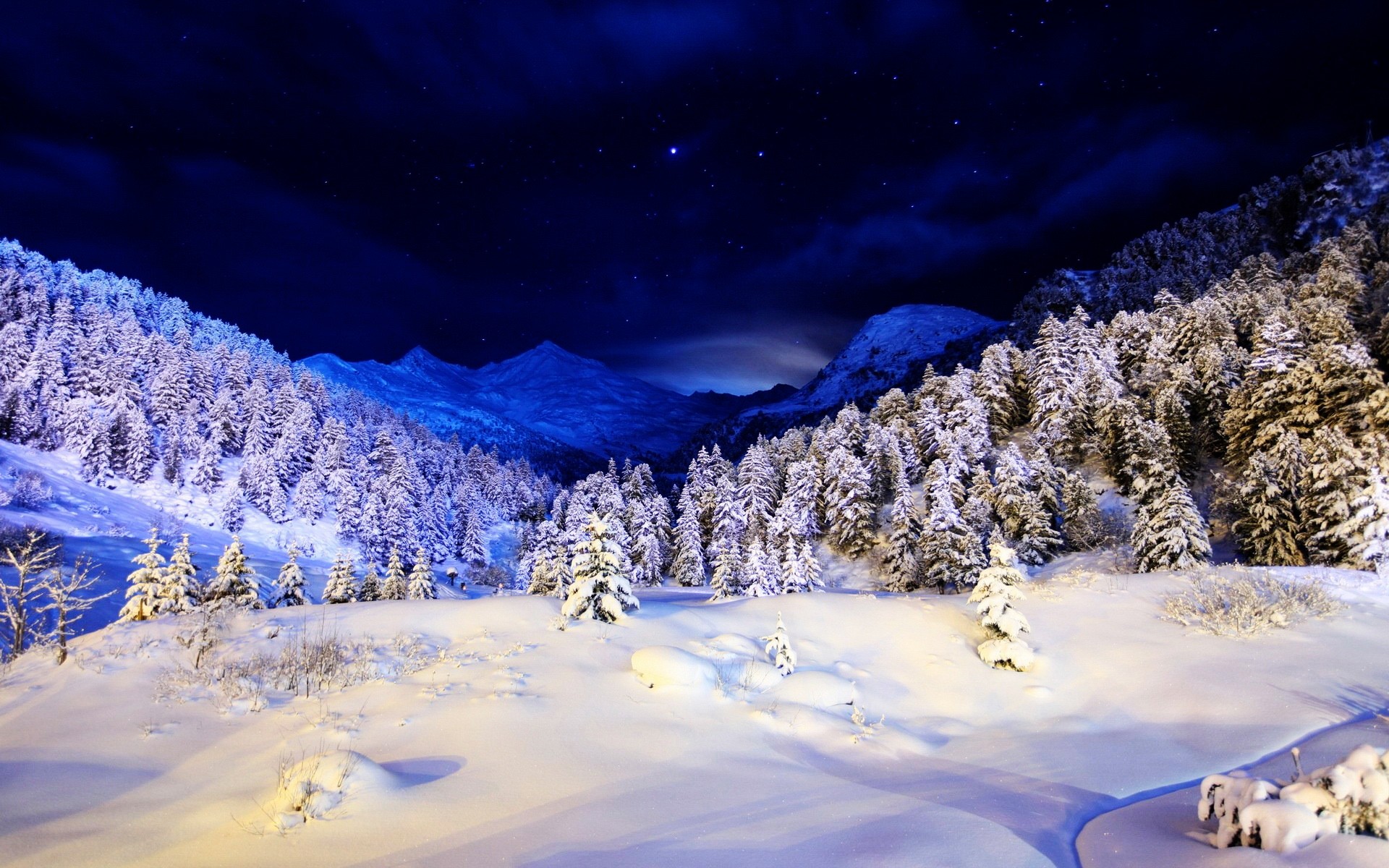 Montagne, Bosco innevato, Notte, Stelle, 1920x1200, wallpaper desktop