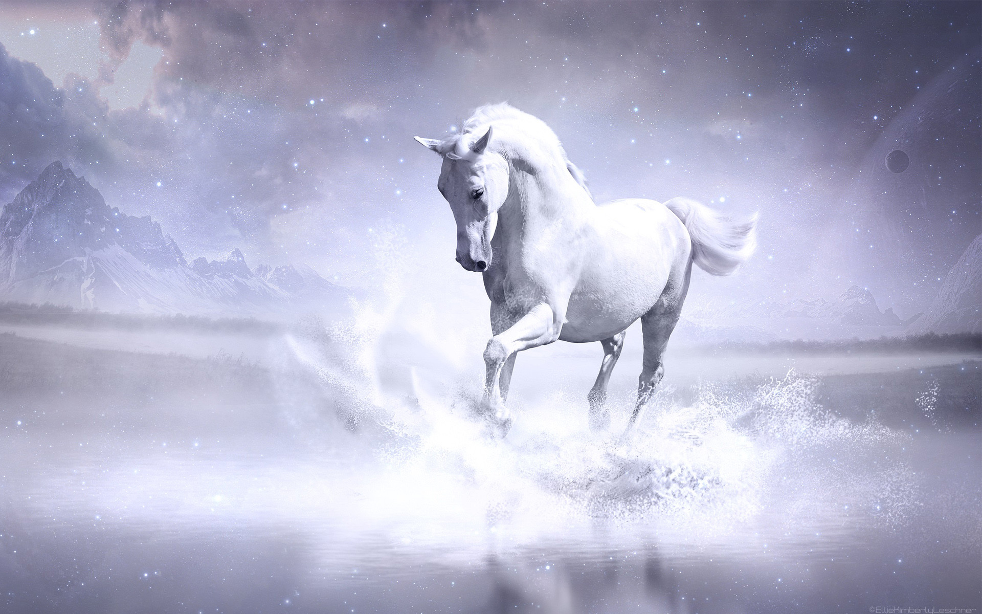 Cavallo bianco, Acqua, Spruzzi, Arte digitale, 1920x1200, sfondo per PC