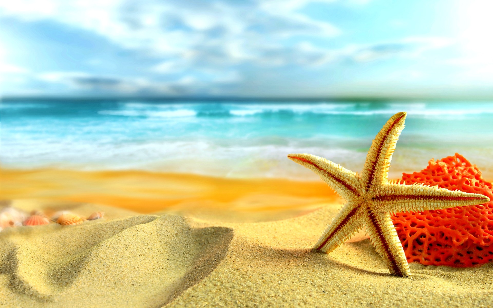 Stella marina, Corallo rosso, Sabbia, Mare, 16:10 Full HD, wallpaper widescreen