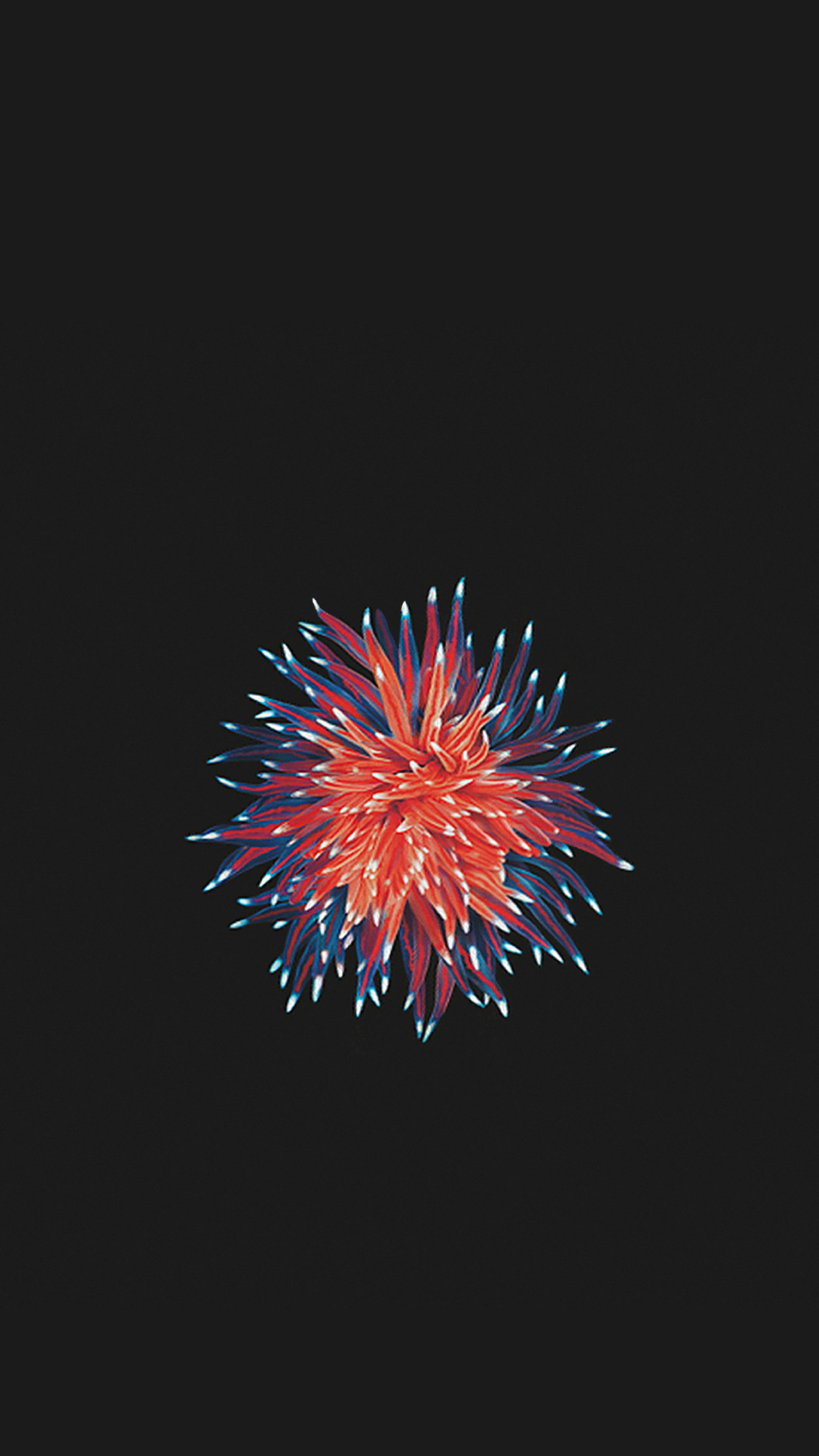 Fuochi d'artificio, iPhone SE, Sfondo scuro, Full HD, wallpaper per smartphone