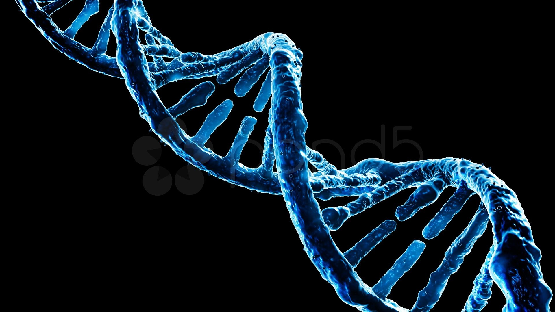 DNA, Doppia elica, Sfondo nero, Full HD, wallpaper per PC