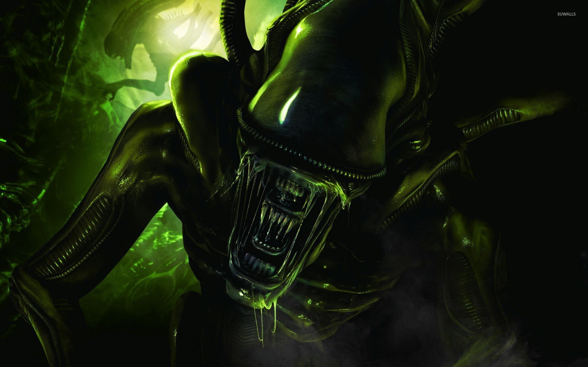 Xenomorfo, Alien, Bava, Verde, 1920x1200, sfondo per PC