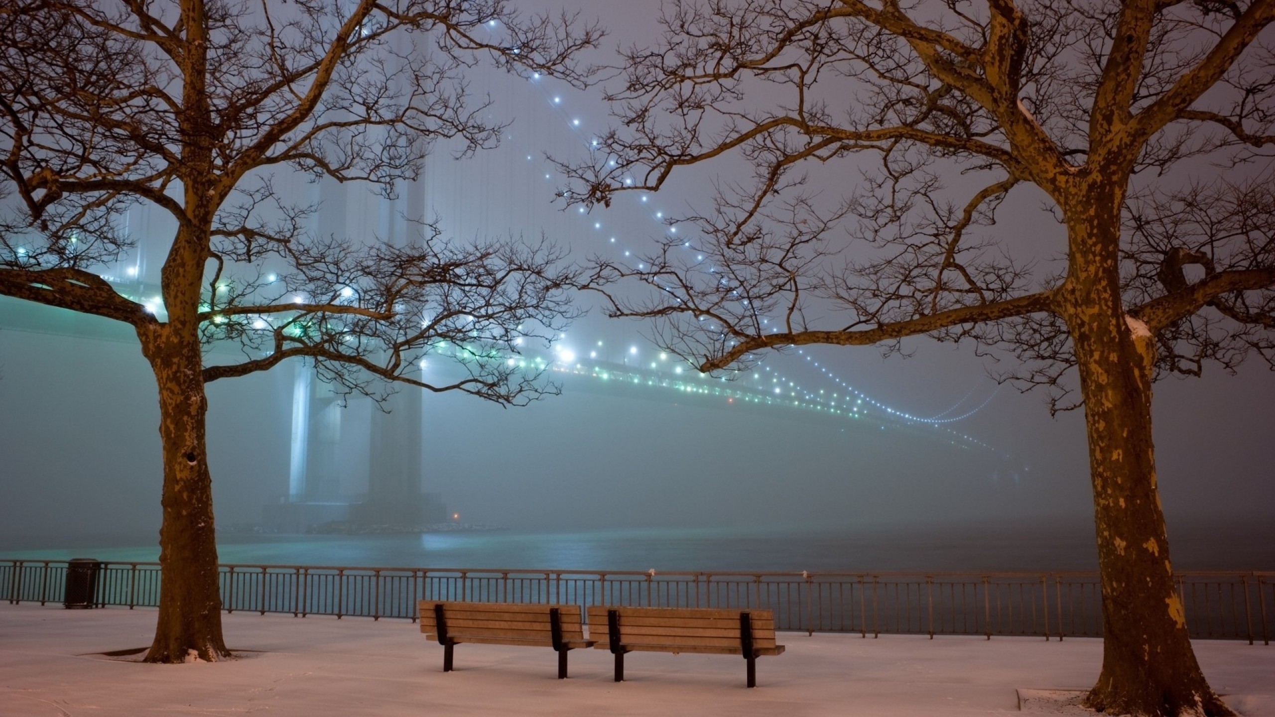 Bay Bridge, San Francisco, Neve, Panchine, Nebbia, 2560x1440, sfondo per PC