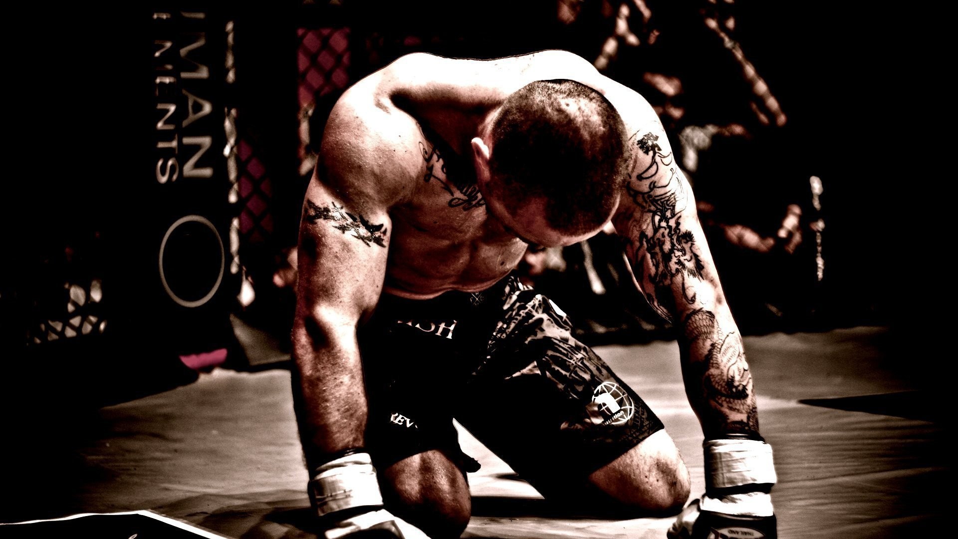Conor McGregor, UFC, Ottagono, Tatuaggi, Full HD, sfondo per PC