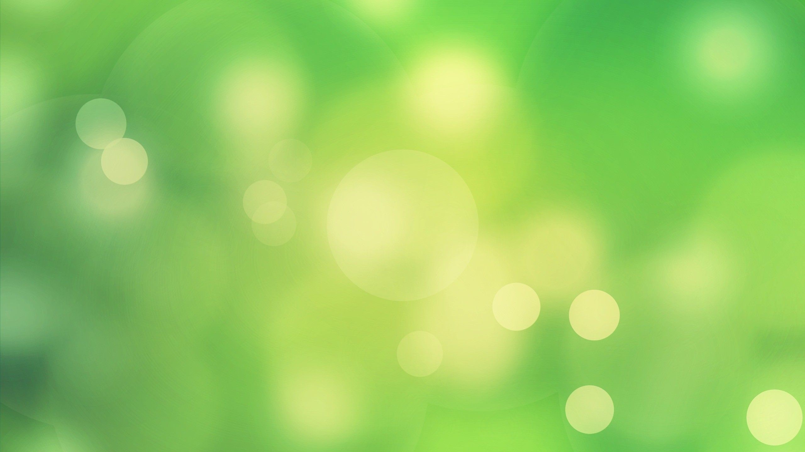 Bokeh, Verde chiaro, Luci, 2K 1440p, sfondo desktop
