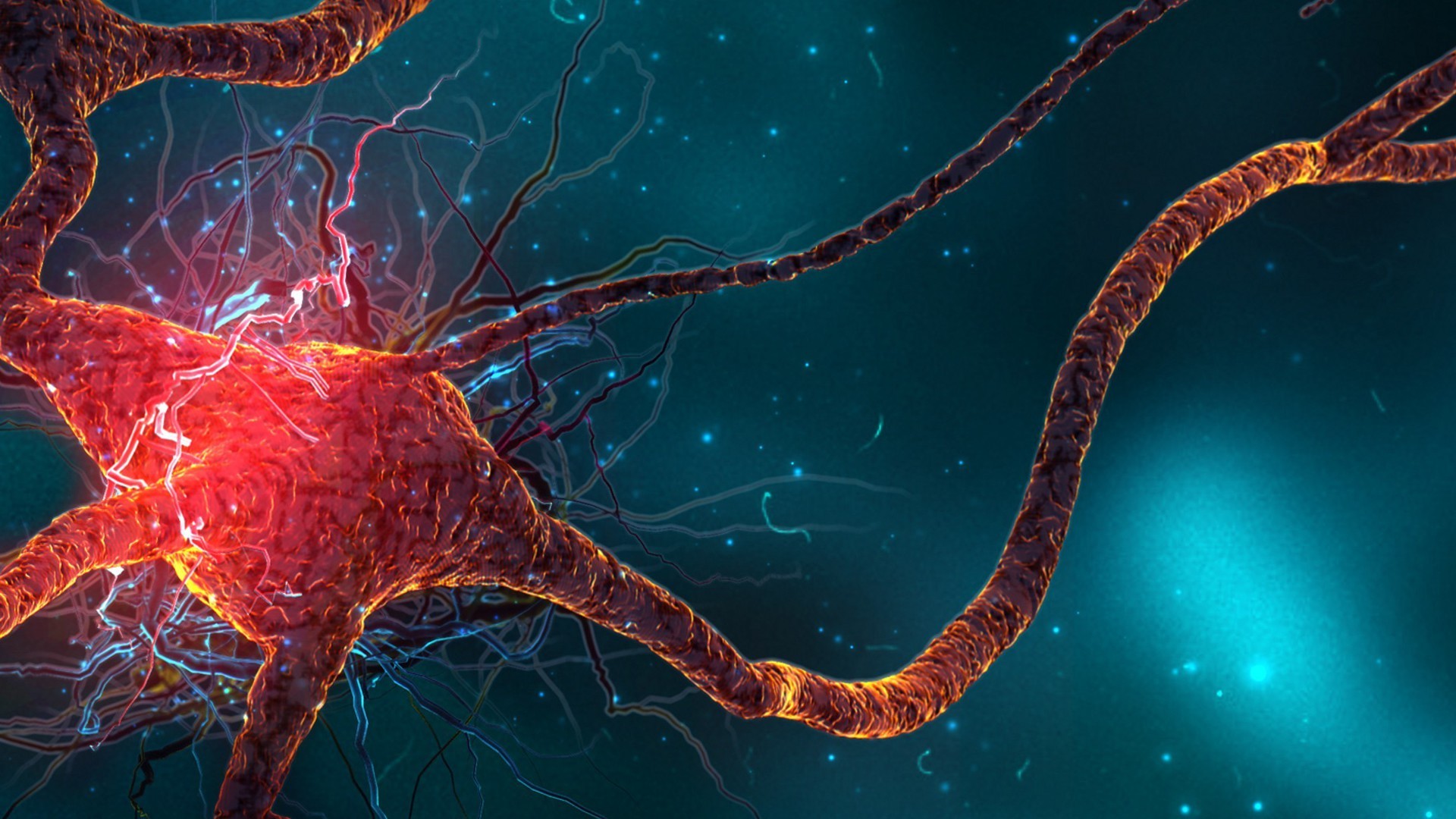 Neurone, Cellula nervosa, Rendering 3D, Rosso, Turchese, Full HD, sfondo desktop
