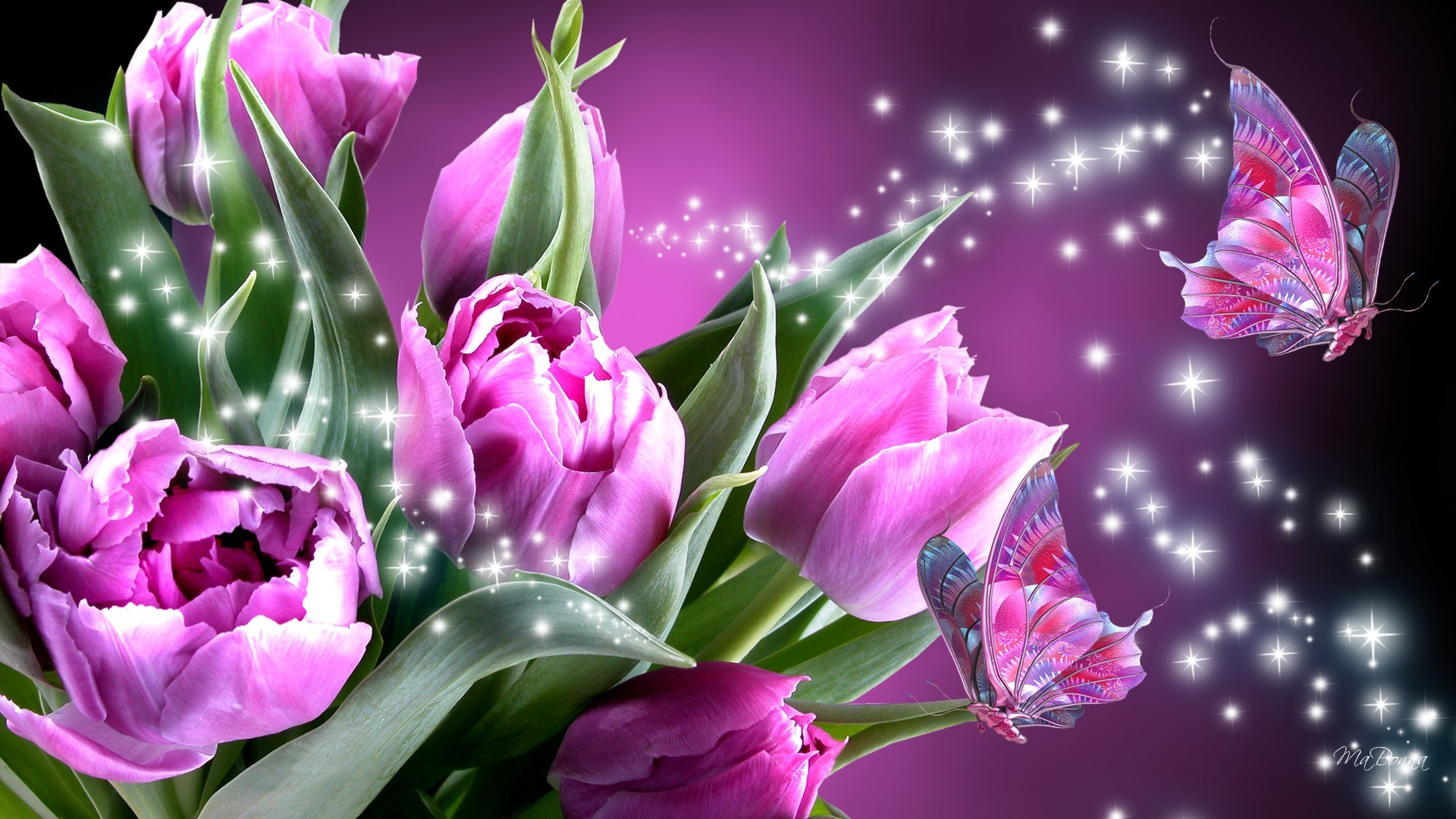 Farfalle, Tulipani viola, Scintille, Arte digitale, Full HD, sfondo per PC