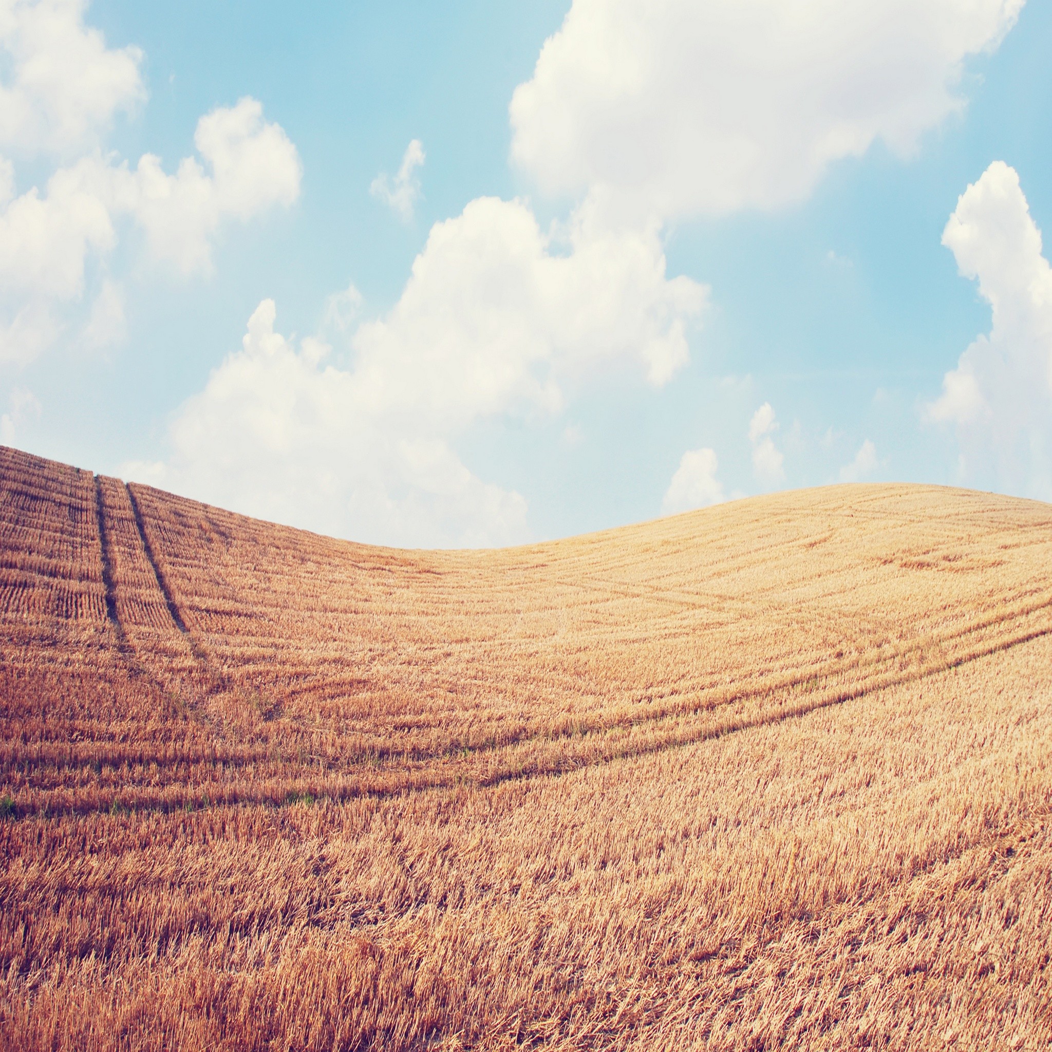 Colline, Campo di grano, Nuvole, Vintage, Full HD, wallpaper per tablet