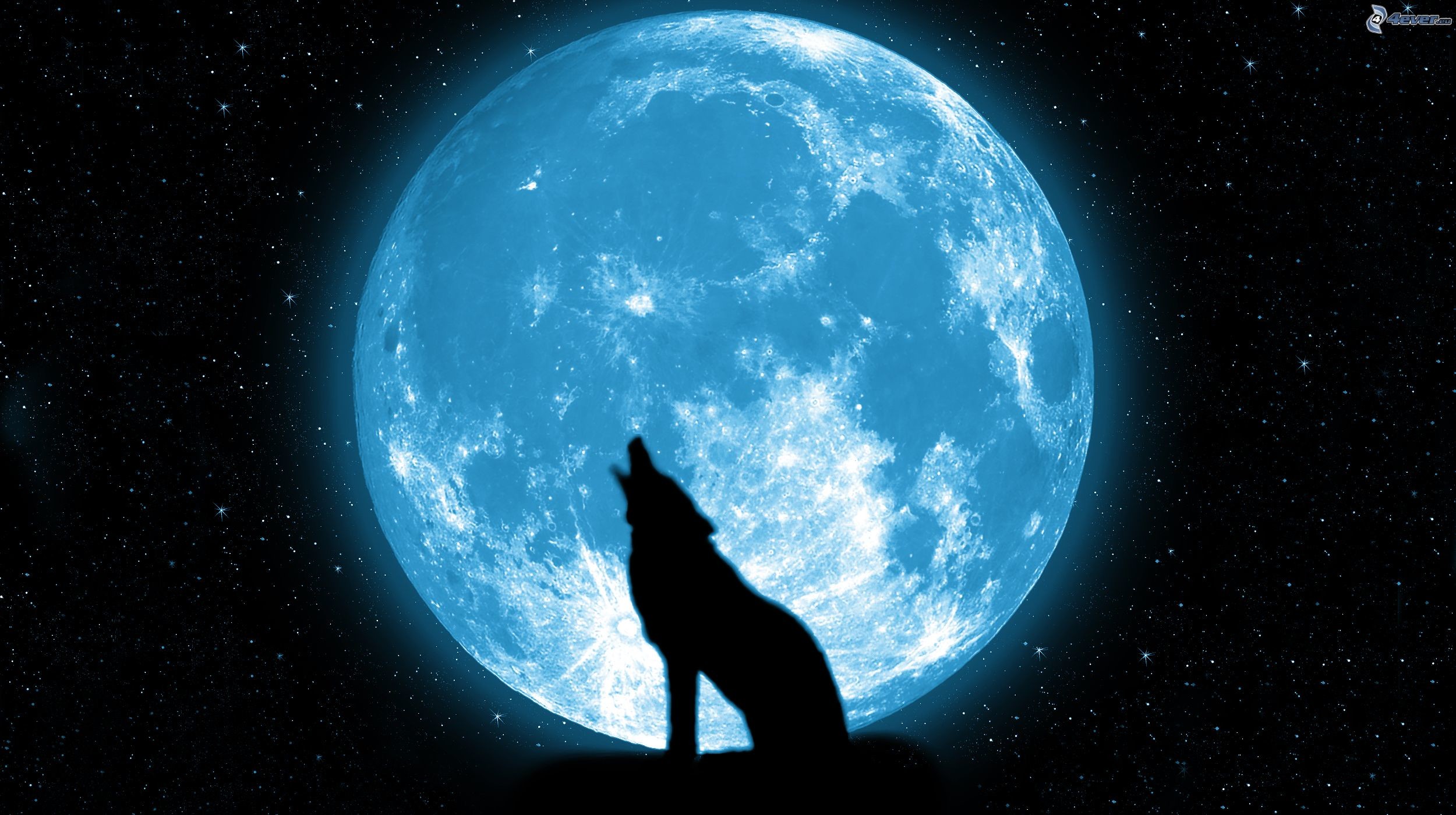 Luna piena, Lupo, Ululato, Silhouette, 16:9 Full HD, sfondo widescreen