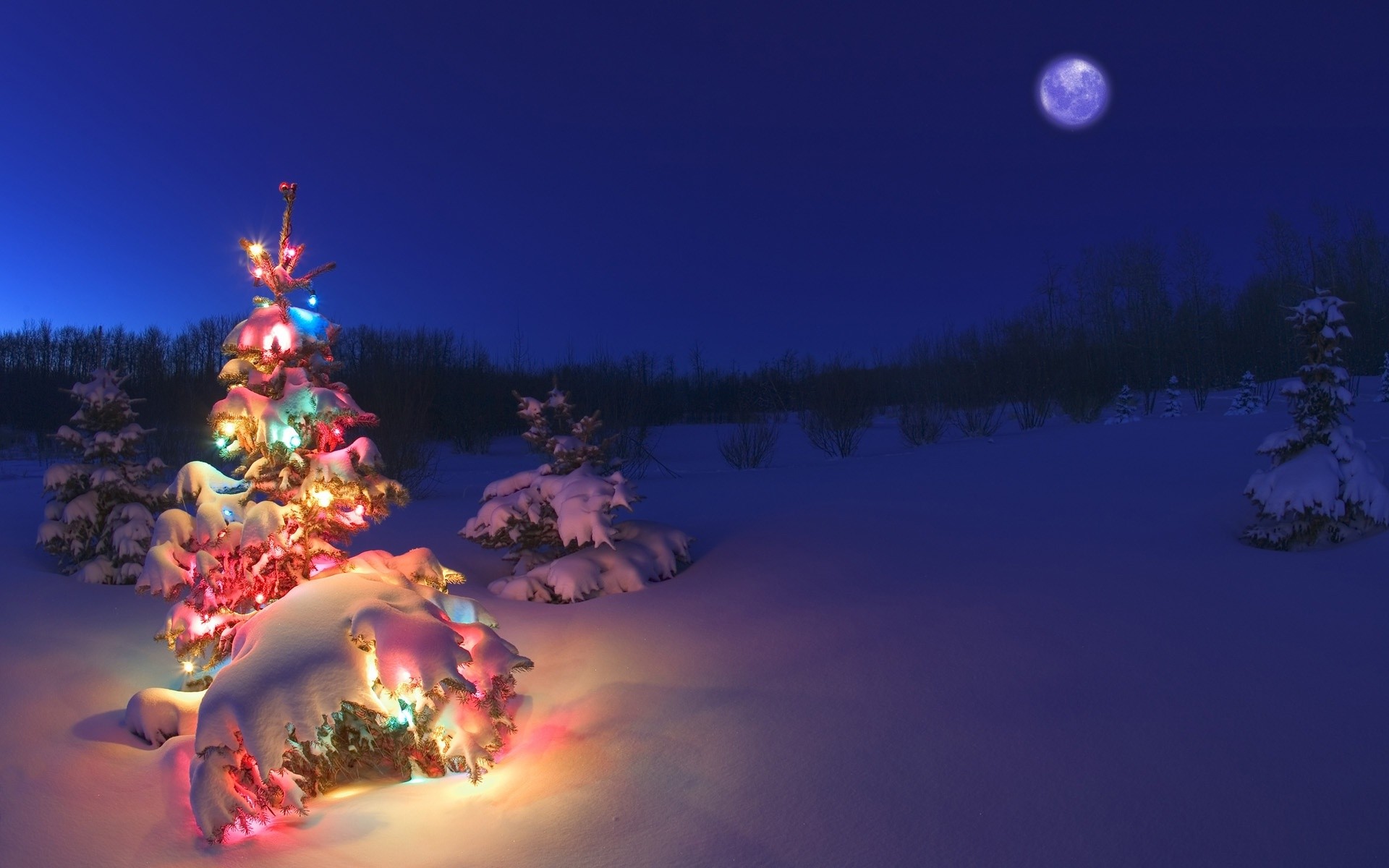 Albero di Natale, Luci colorate, Neve, Luna, Notte, Full HD, sfondo Windows 11