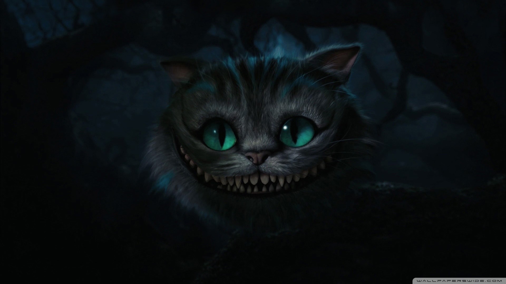 Stregatto, Alice in Wonderland (2010), Sorriso, Atmosfera cupa, Full HD 1080p, sfondo desktop