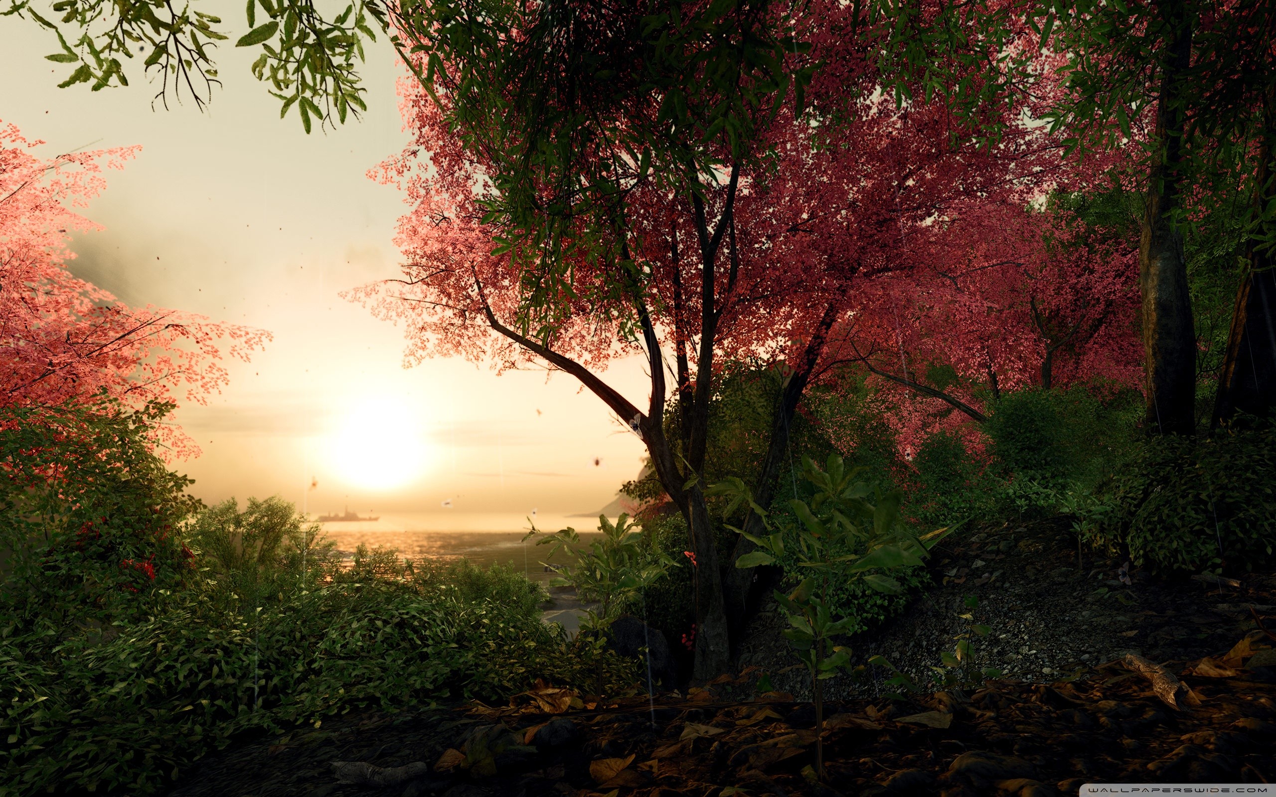 Ciliegio, Tramonto, Foresta, Rendering 3D, 2K, sfondo per PC e portatile
