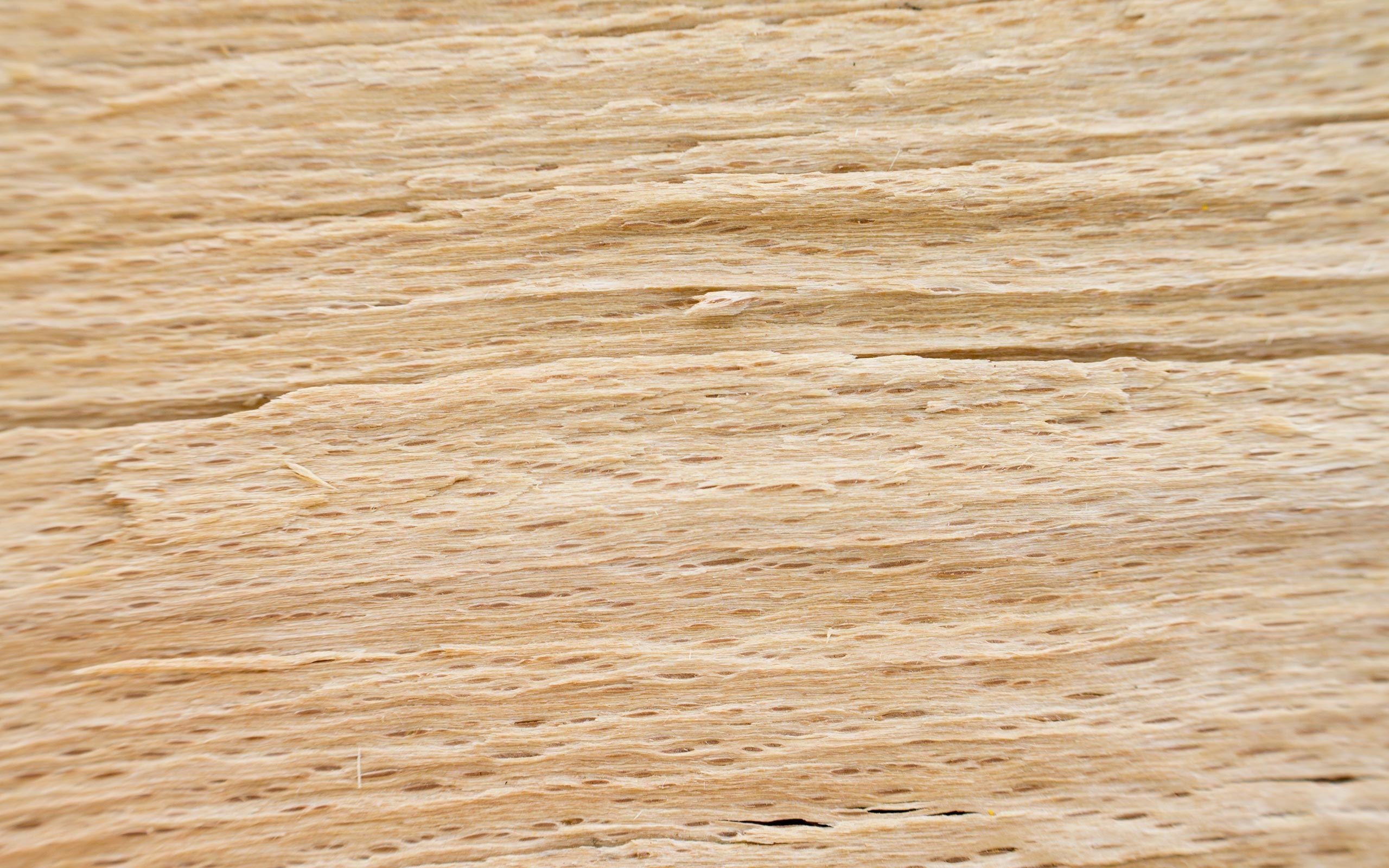 Legno grezzo, Fibre, Texture, 2K, wallpaper desktop