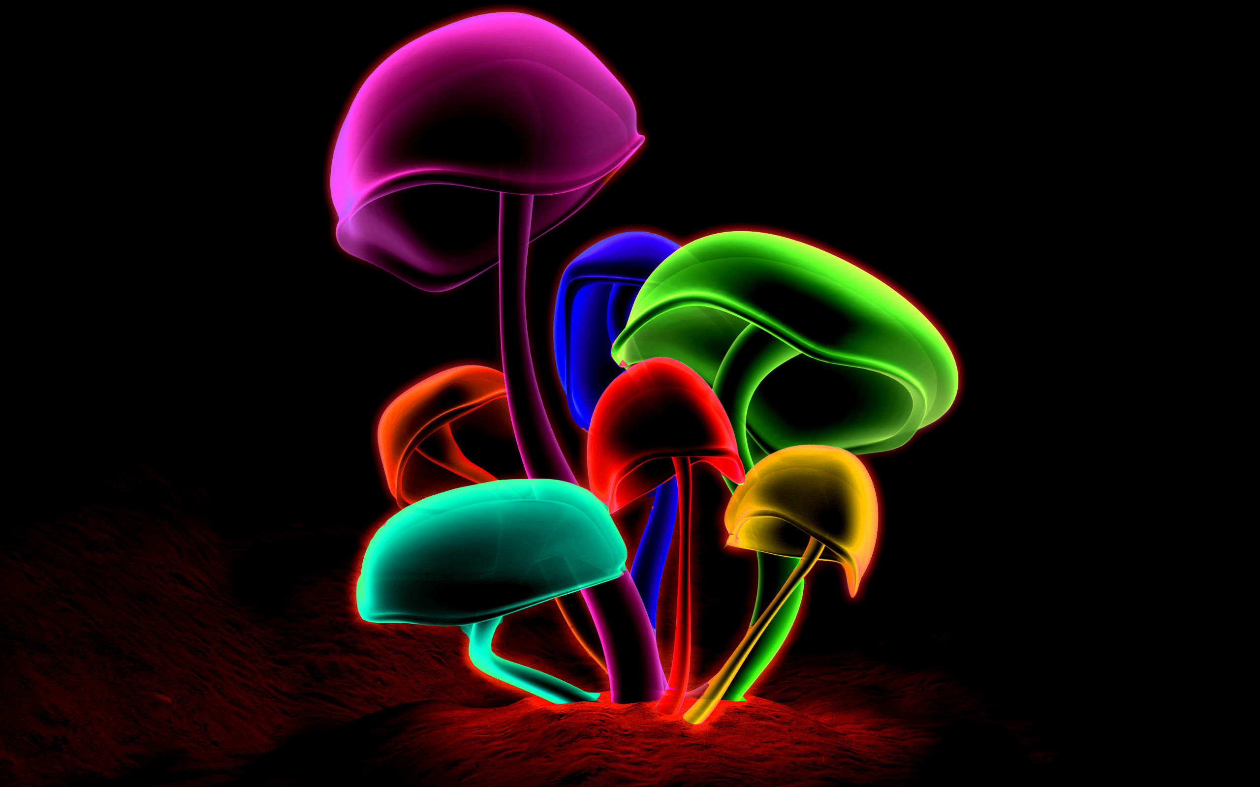 Funghi neon, Luci colorate, Sfondo nero, 2K, wallpaper PC