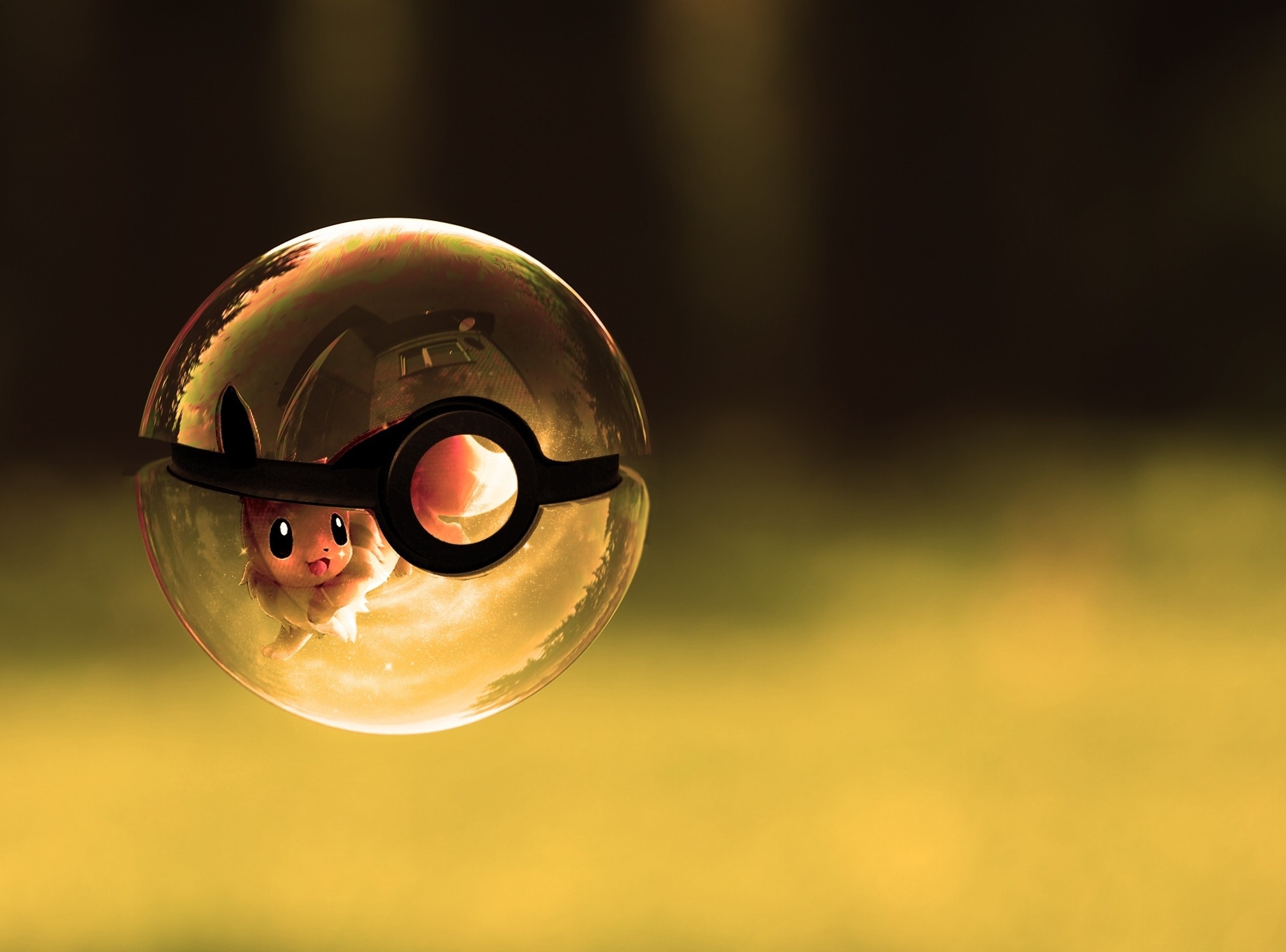 Eevee, Poké Ball, Pokémon, Vetro, sfondo per iPad e tablet