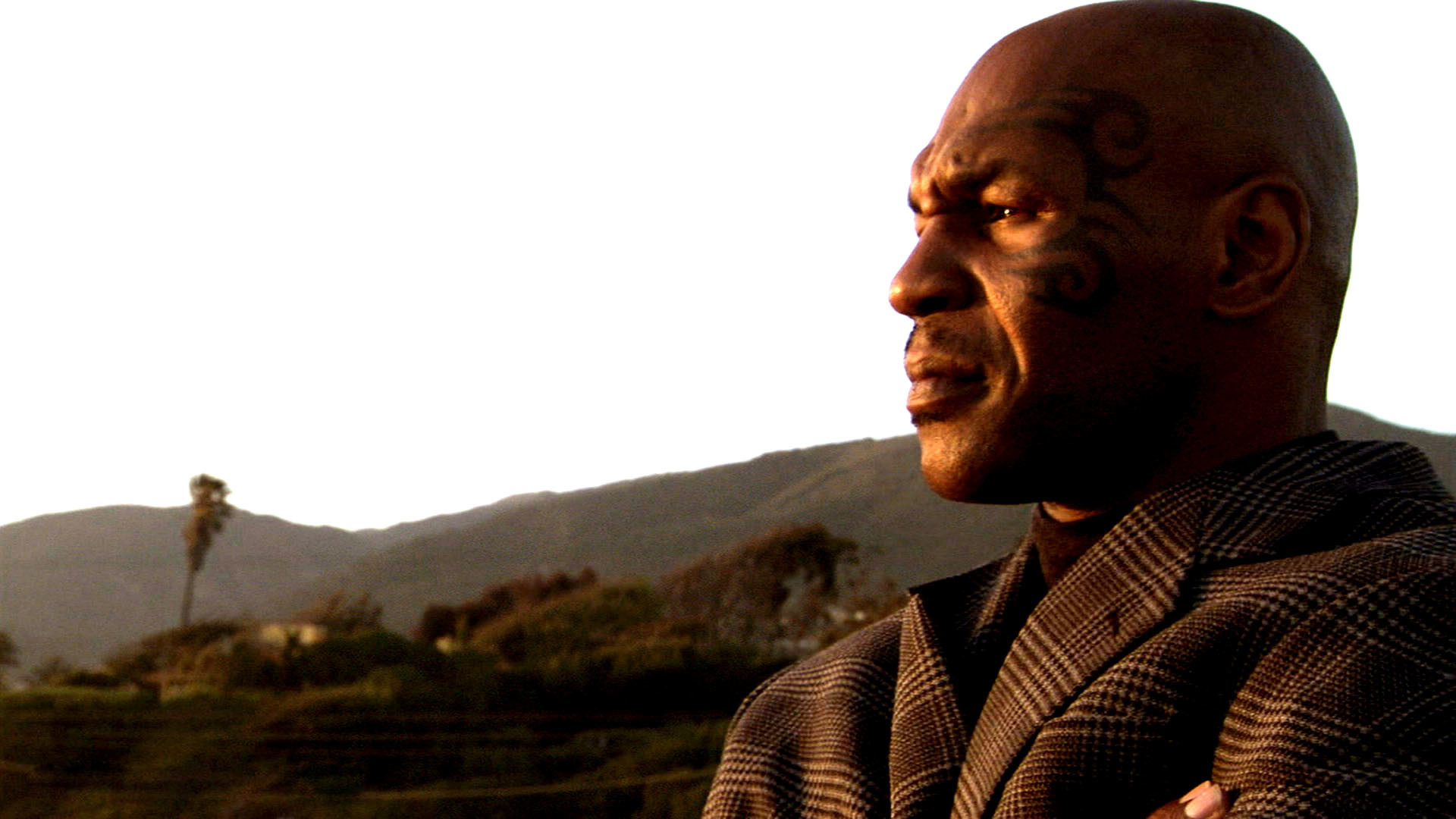 Mike Tyson, Tatuaggio sul viso, Colline, Tramonto, Ritratto, Full HD 1080p, sfondo desktop