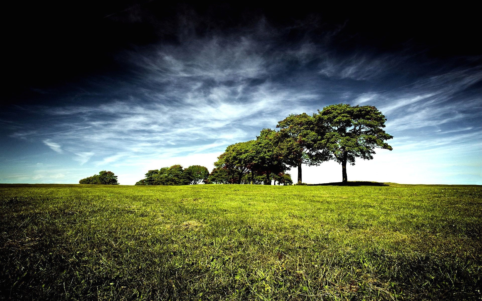 Alberi, Prato verde, Cielo drammatico, Nuvole, Paesaggio, 1920x1200, immagine di sfondo