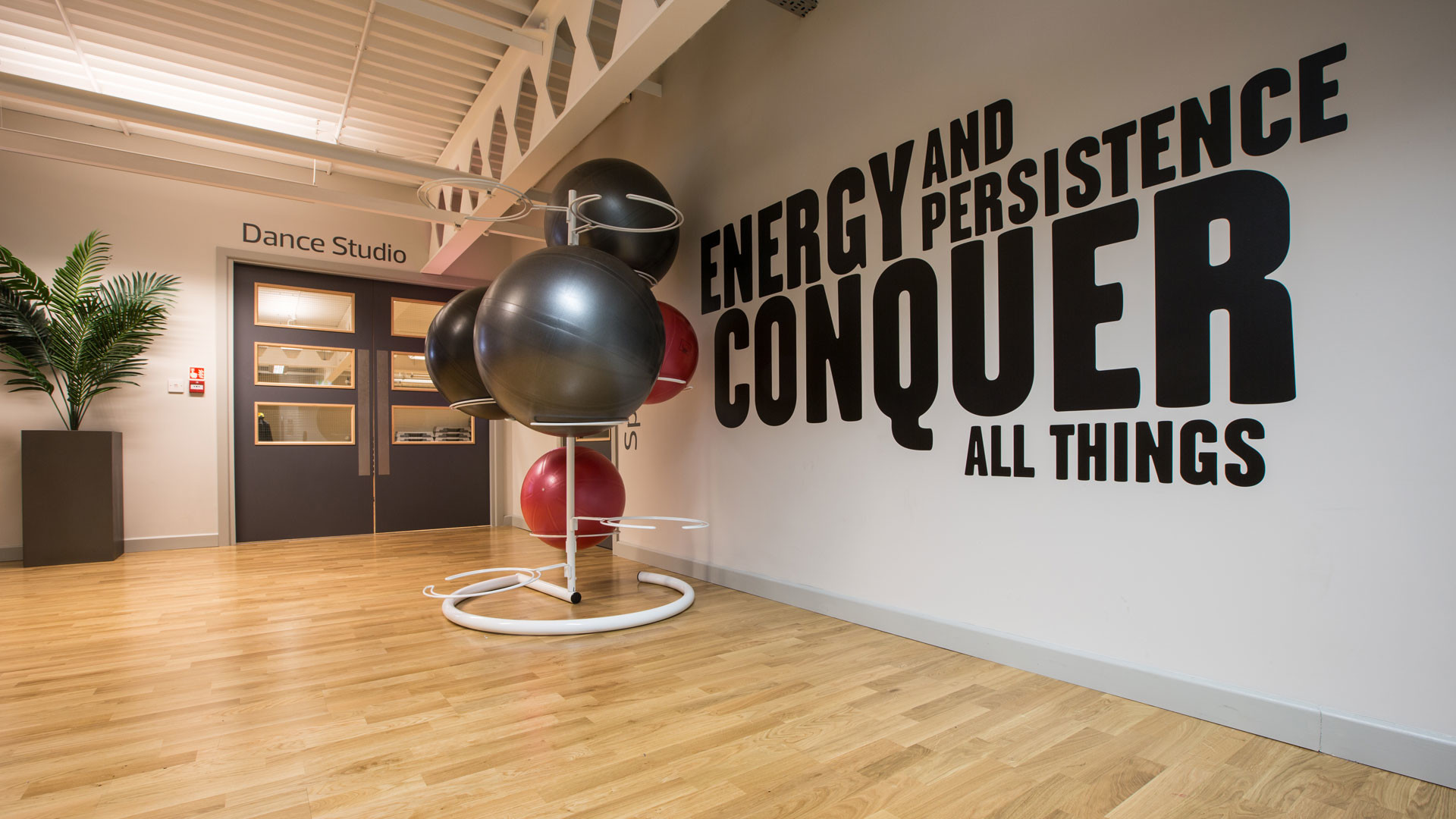 Palla svizzera, Sala fitness, Citazione motivazionale, Full HD, sfondo per portatile