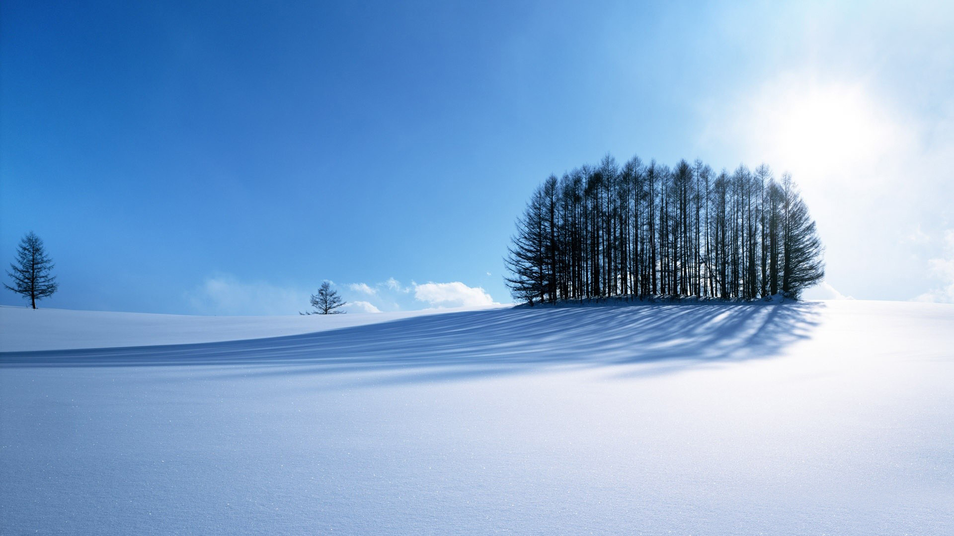 Biei, Hokkaido, Boschetto, Pianura innevata, Cielo blu, 1920x1080, immagine di sfondo