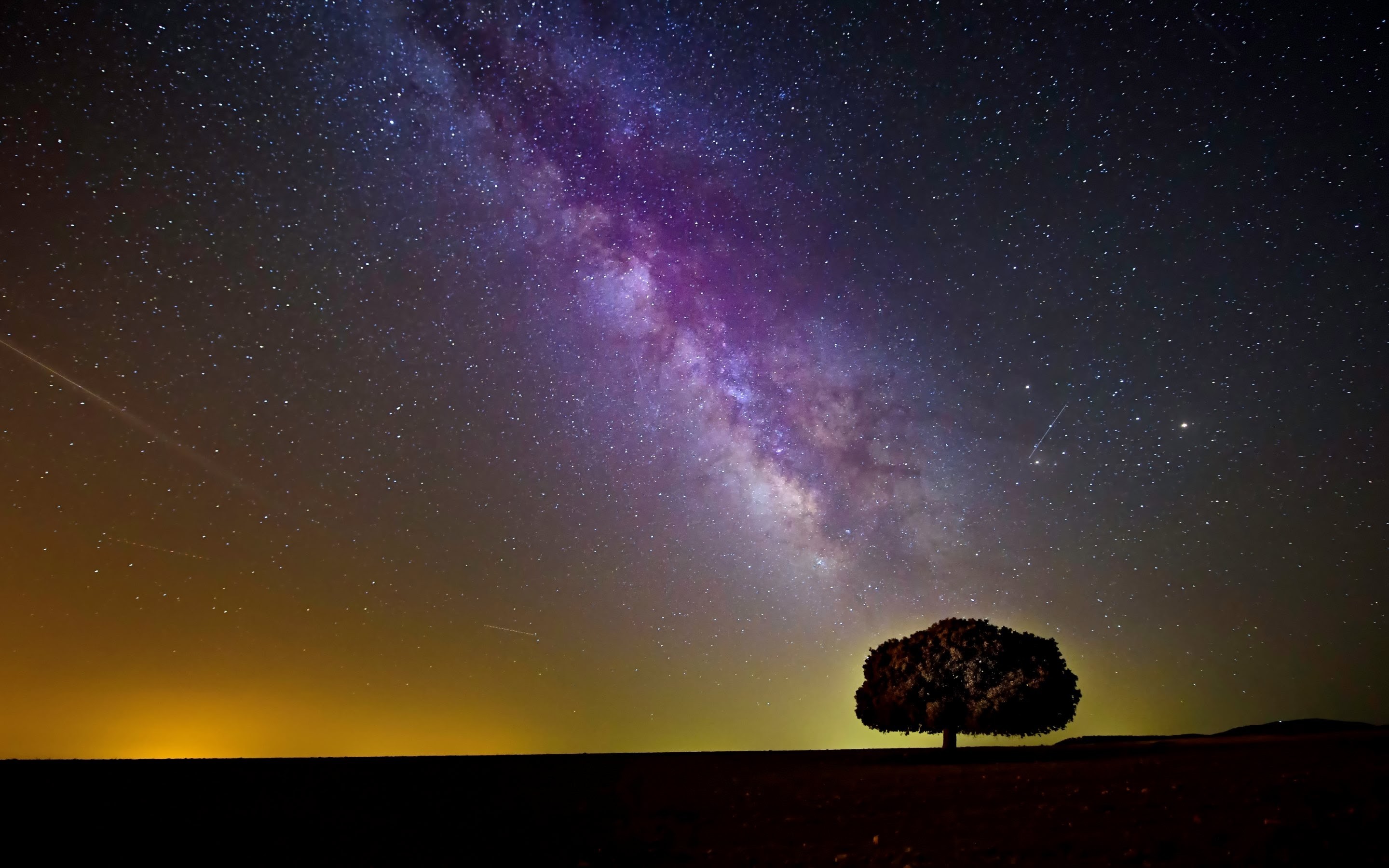 Via Lattea, Albero solitario, Silhouette, Viola, 2K, sfondo Windows 11