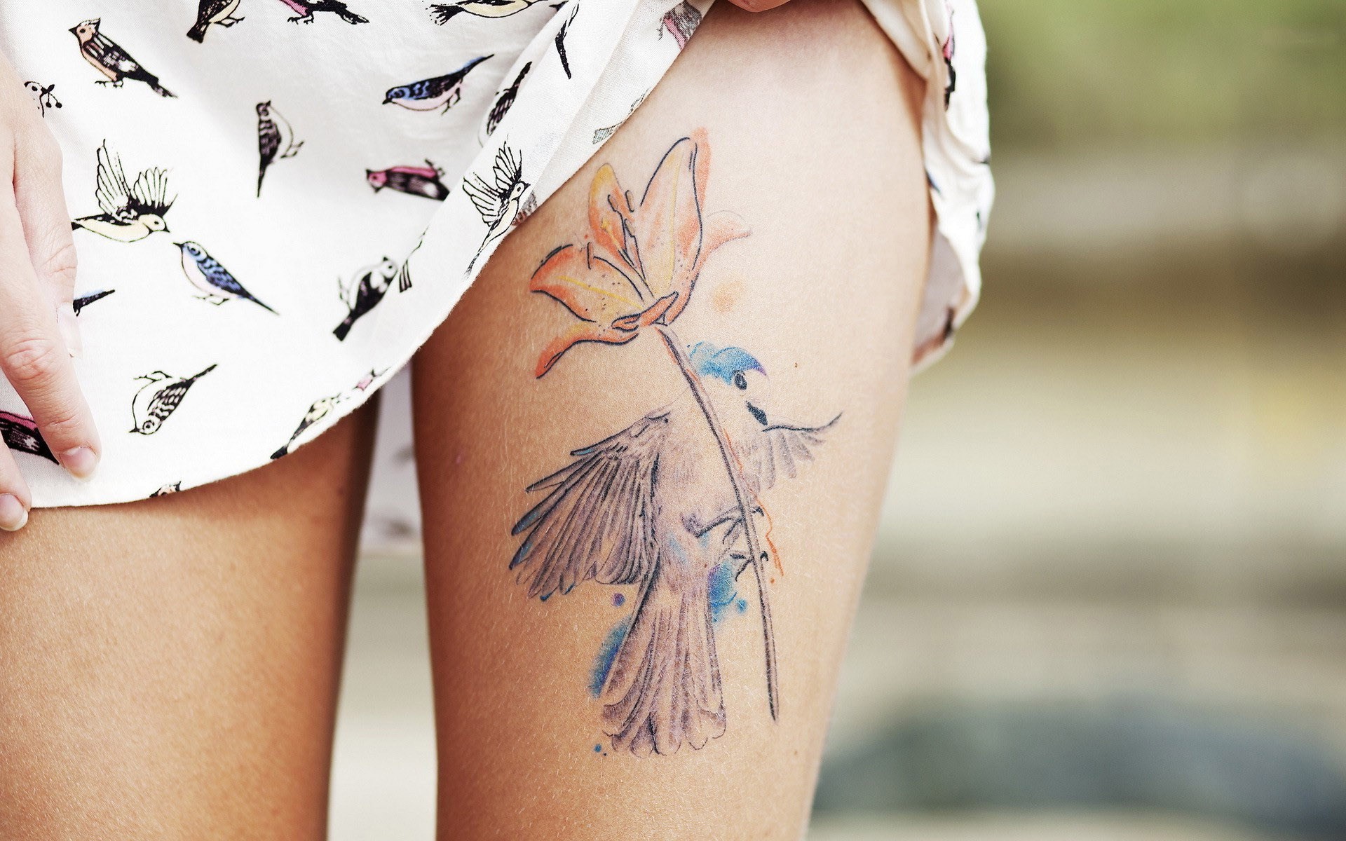 Tatuaggio sulla coscia, Fiore, Uccelli, Acquerello, Full HD, sfondo per PC e portatile