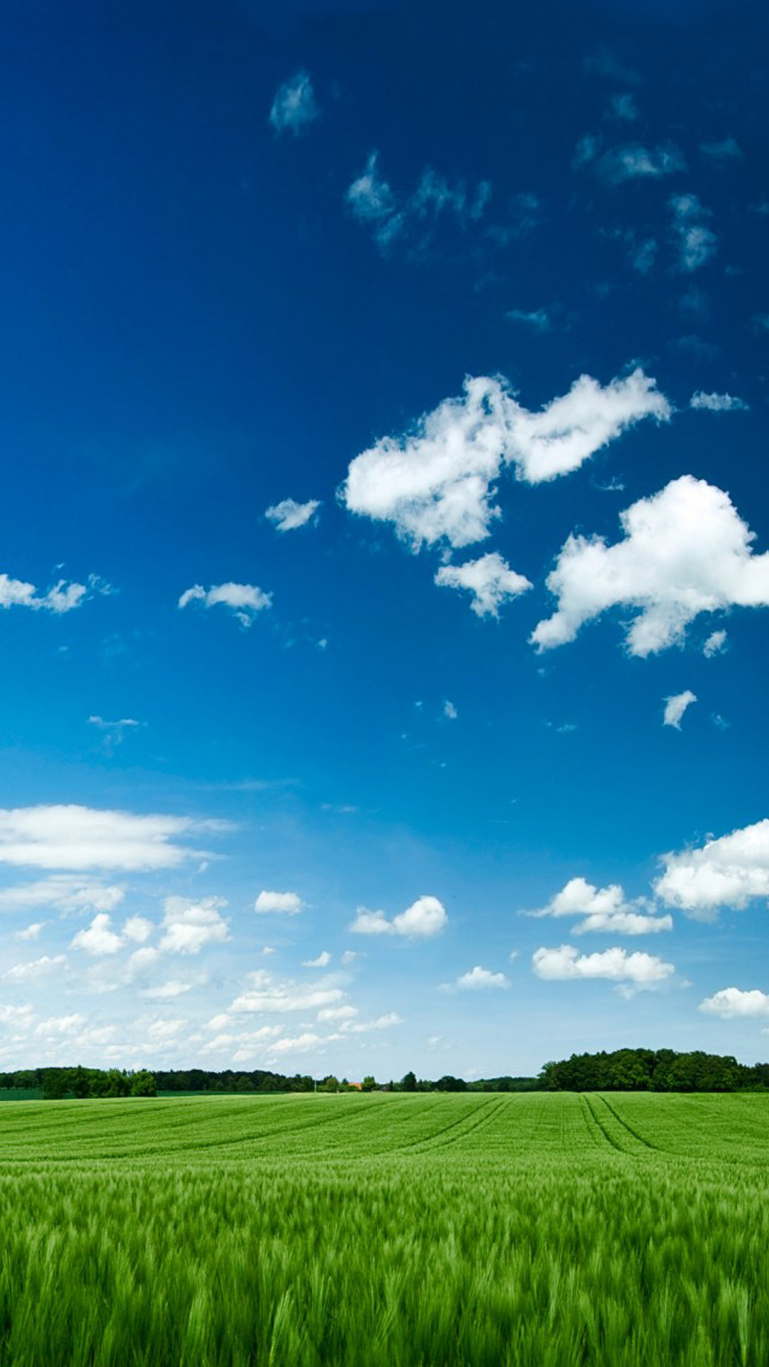 Cielo blu, Nuvole, Prato, Estate, Full HD, sfondo per smartphone