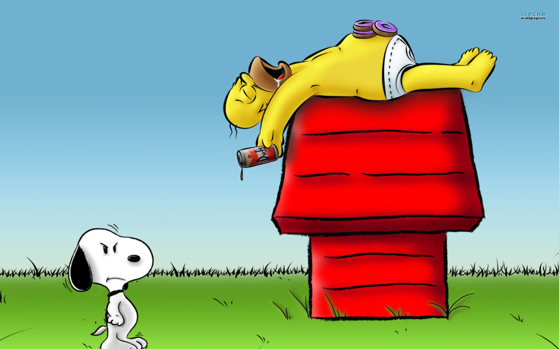 Snoopy, Cuccia rossa, Prato, 16:10 Full HD, sfondo widescreen