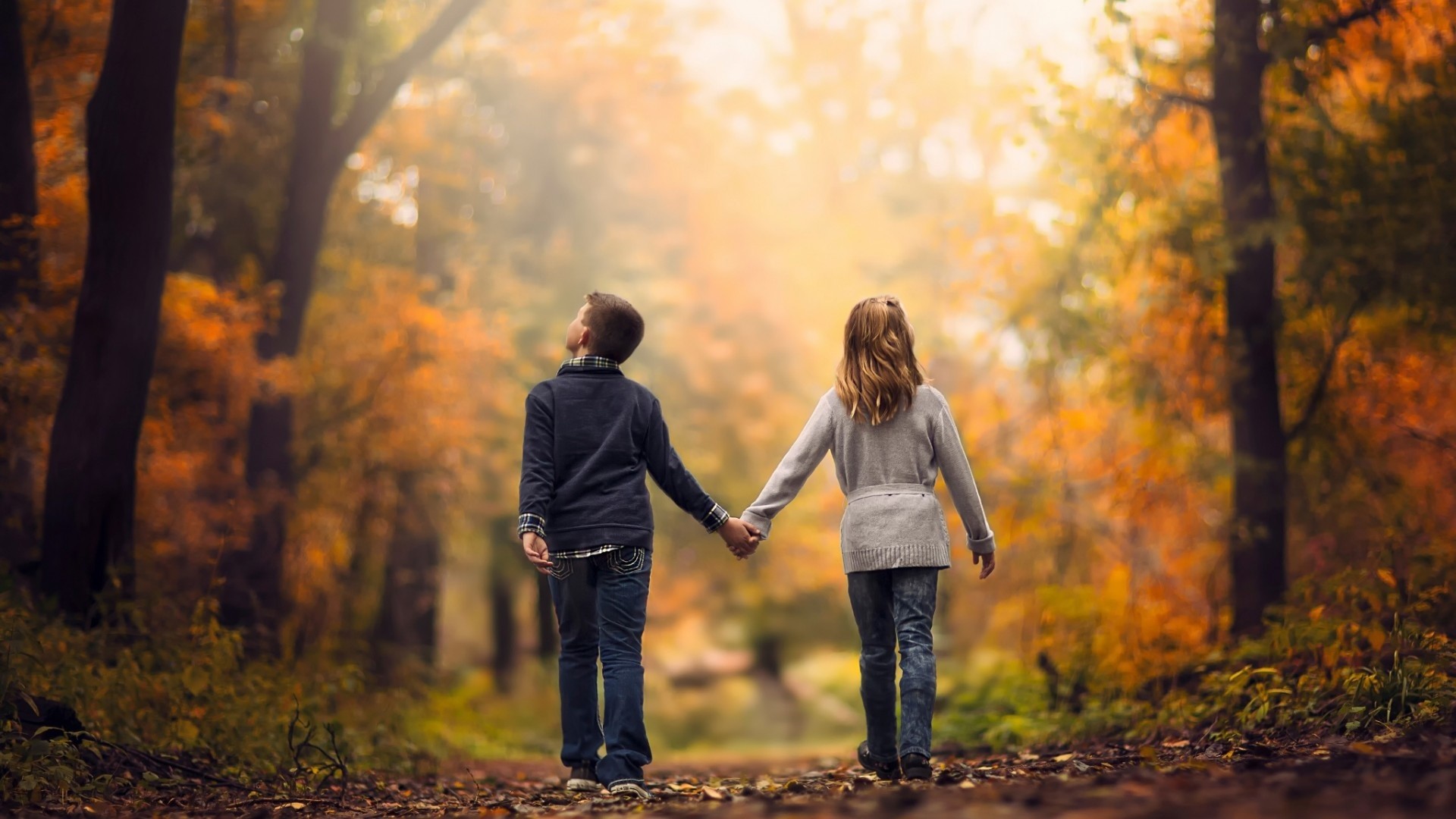 Coppia, Mano nella mano, Bosco autunnale, Passeggiata, Full HD 1080p, sfondo desktop