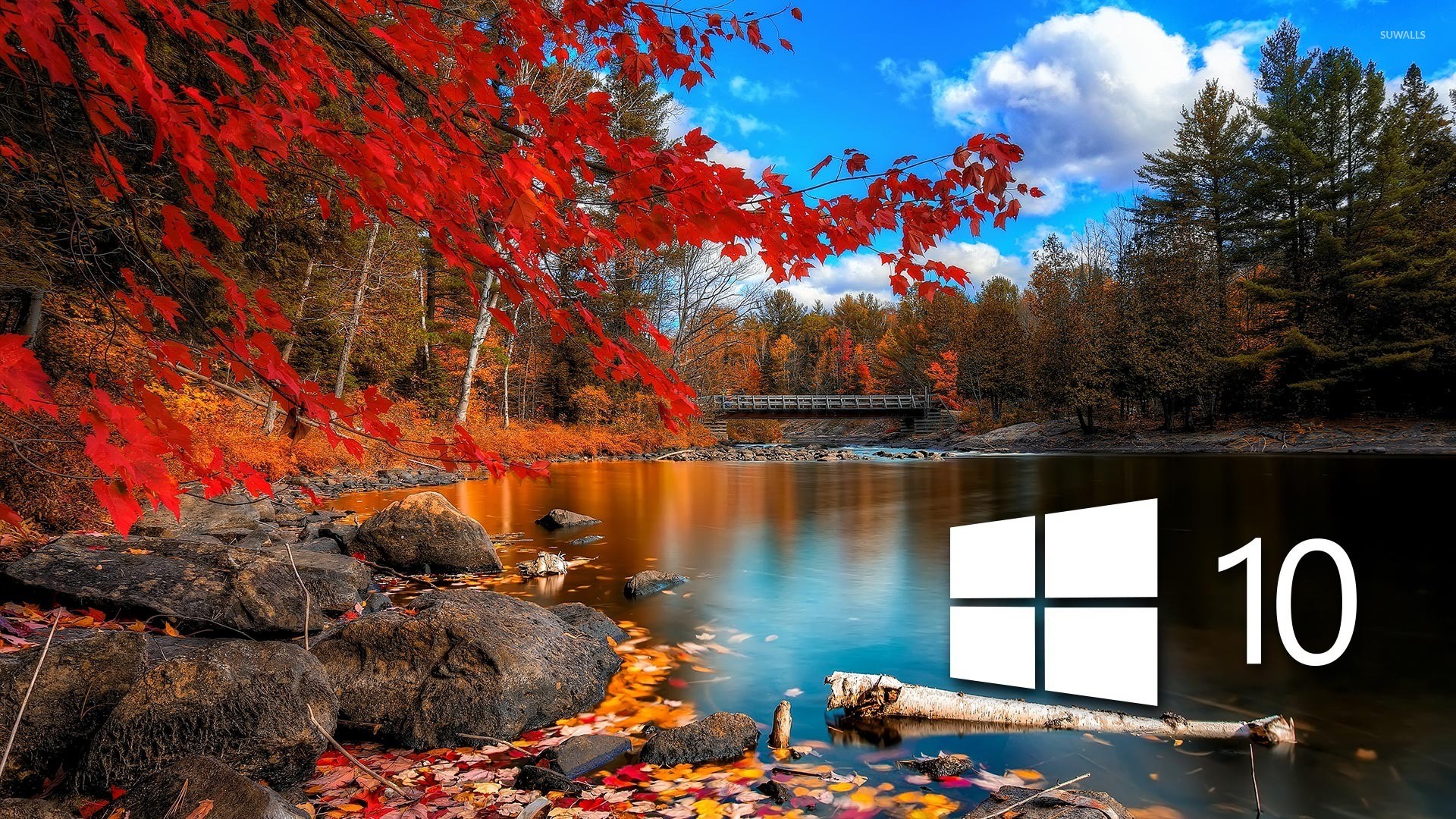 Windows 10, Logo Windows, Autunno, Lago, Foglie rosse, Full HD, sfondo per PC e portatile